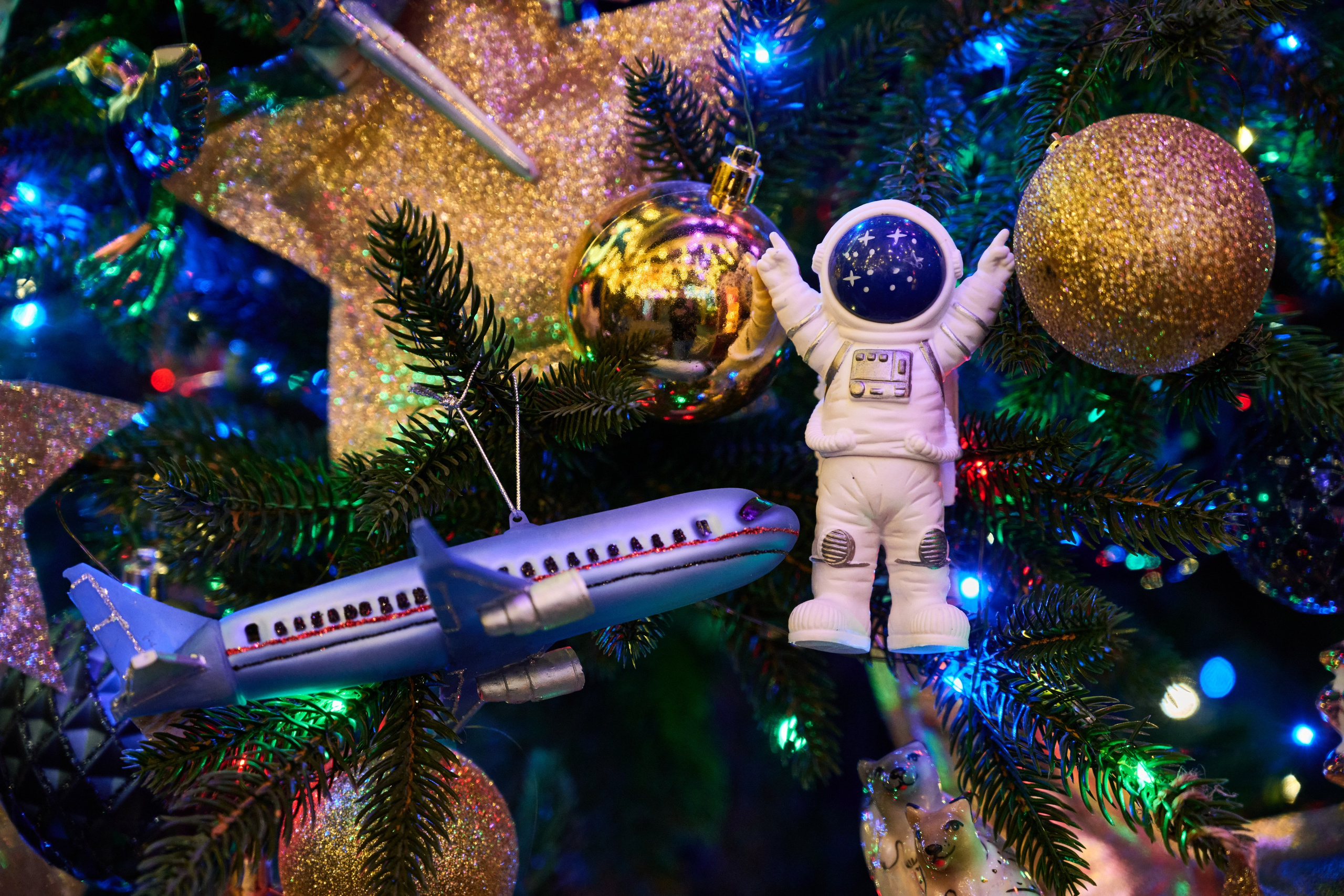 Интерьеры Усадьбы Деда Мороза. Никита Хохловский фото и видео продакшн