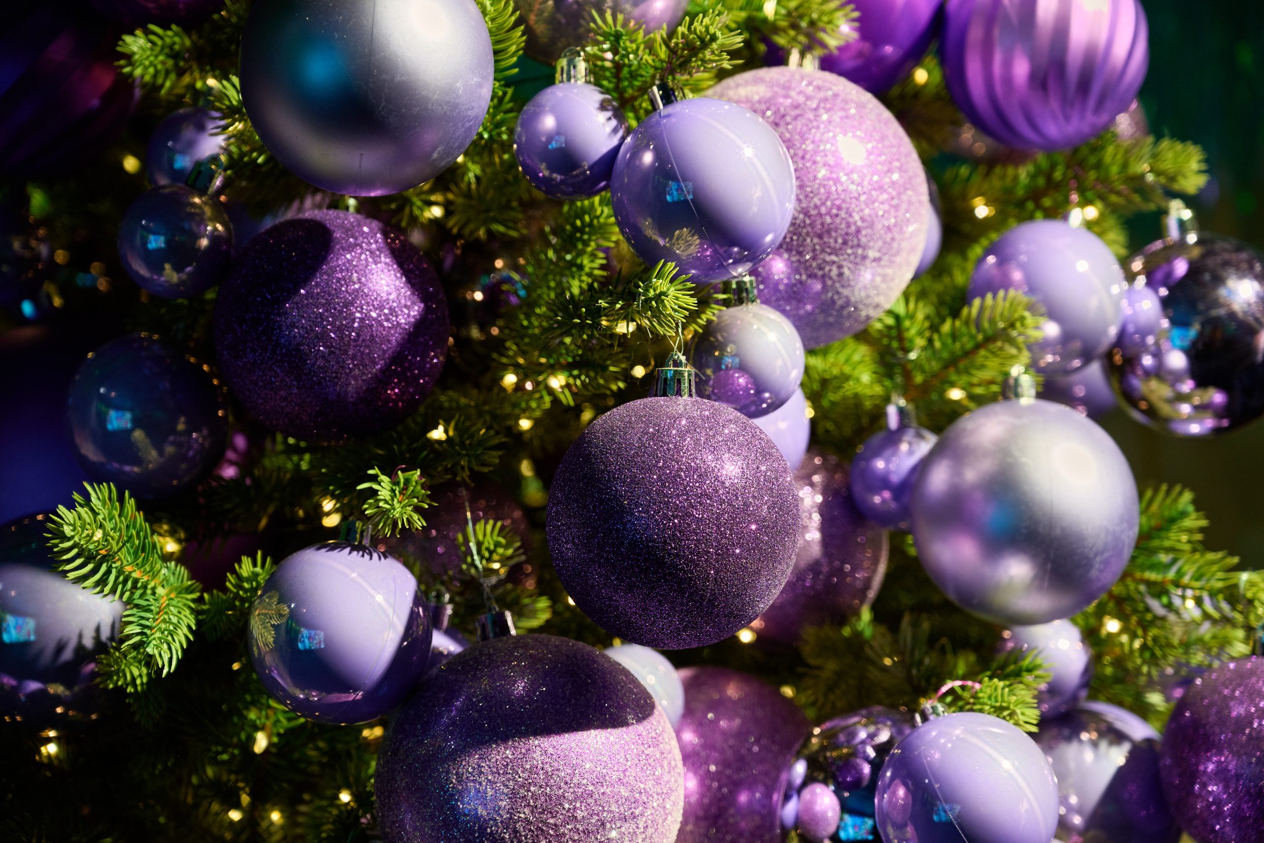 Интерьеры Усадьбы Деда Мороза. Никита Хохловский фото и видео продакшн