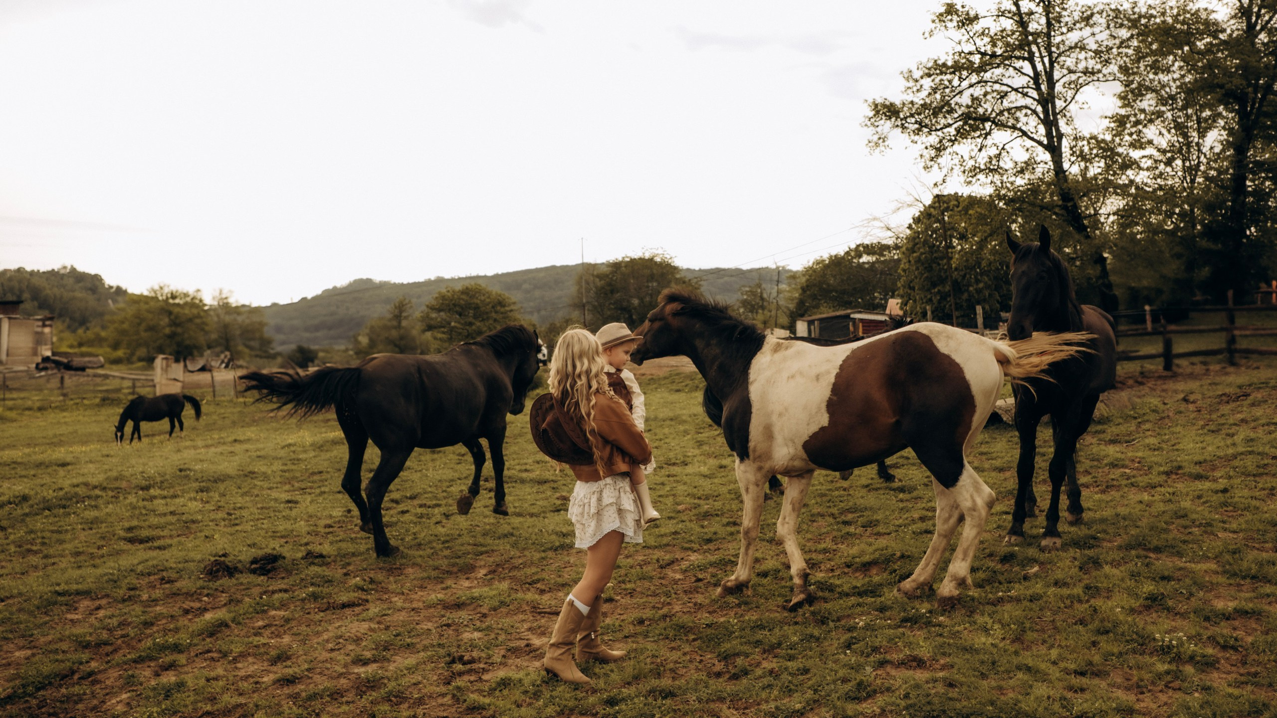 Конюшня. Главная