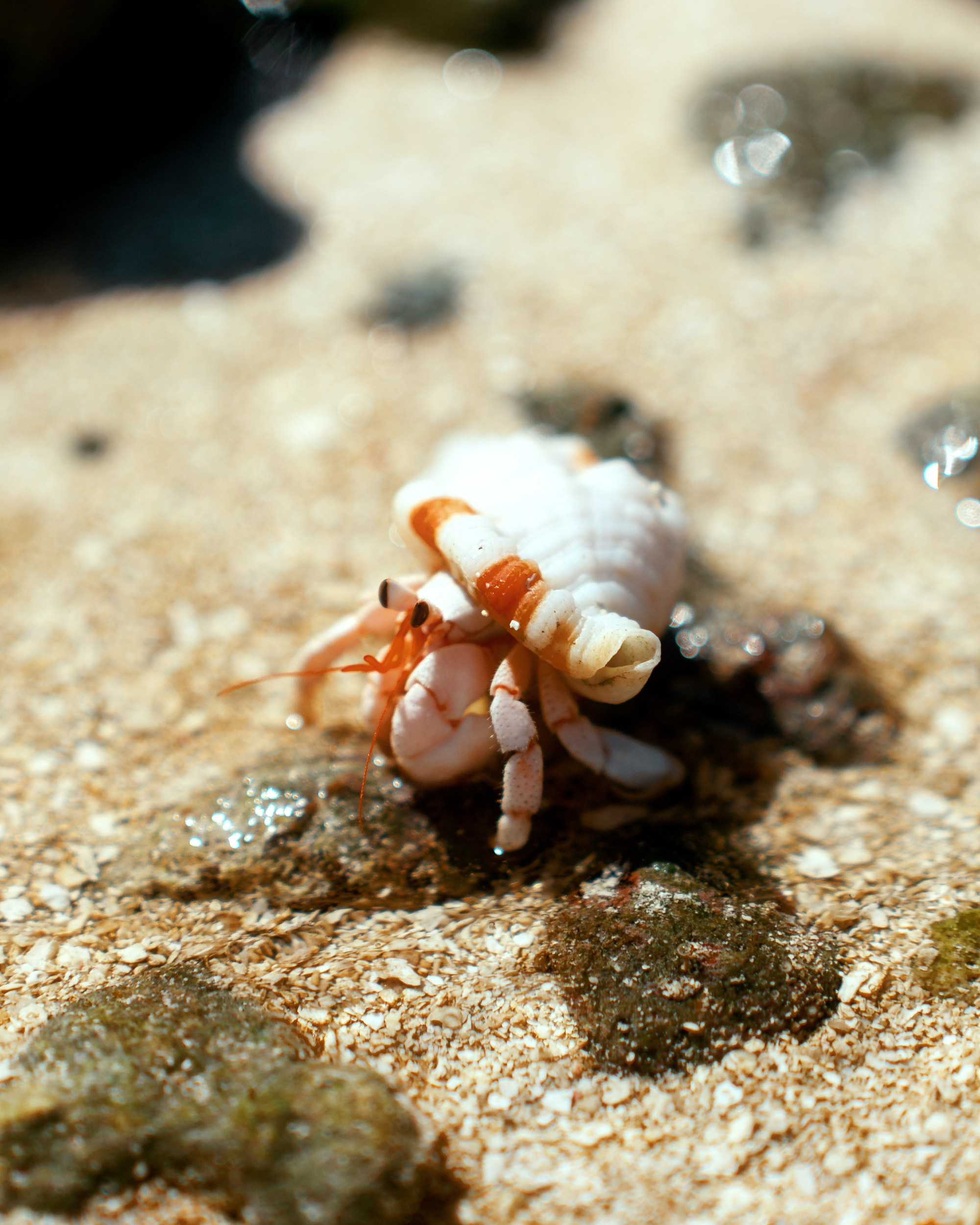 Ktokuda. Фотограф в Хабаровске. Фотография за 24 часа