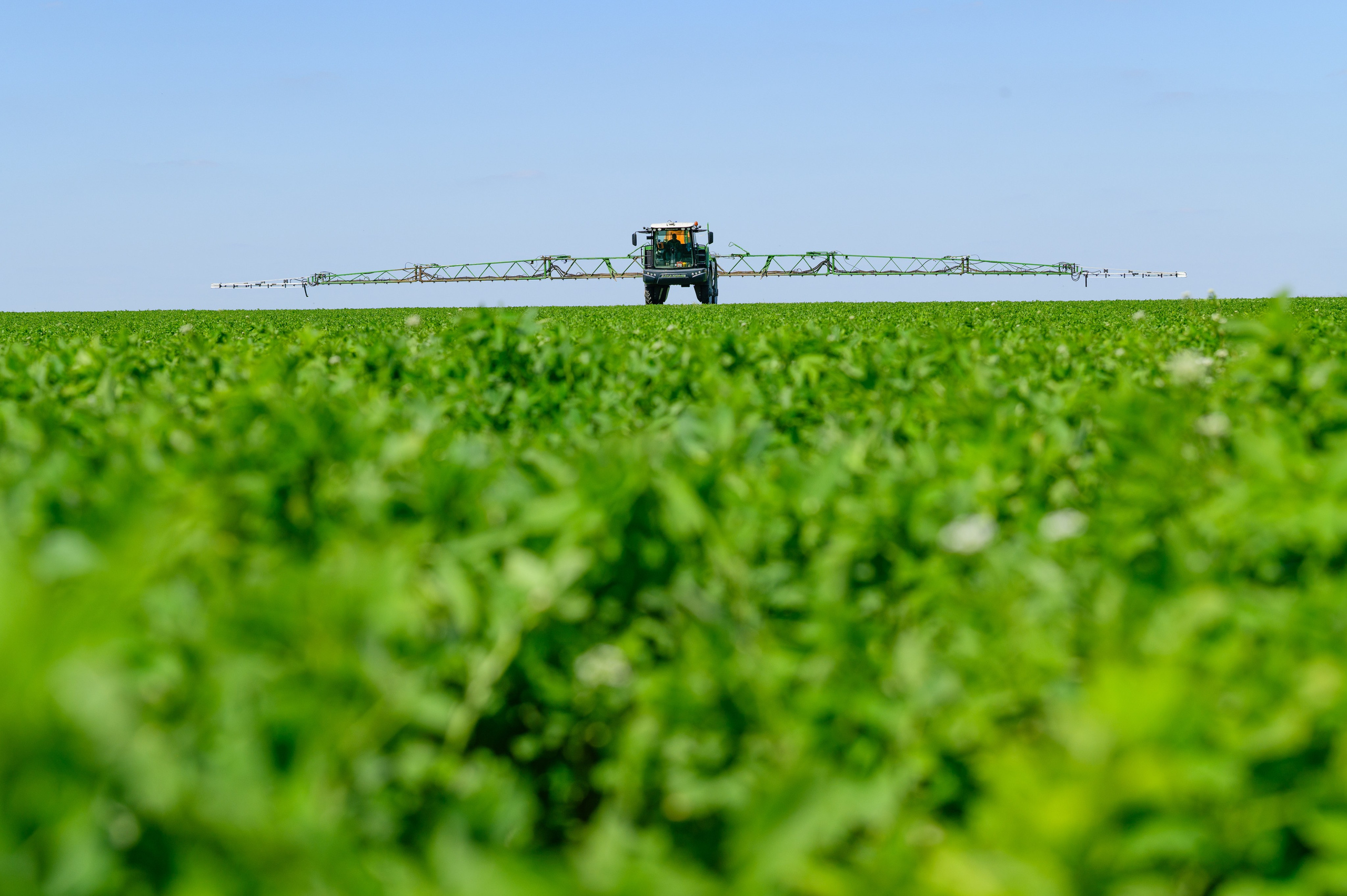 Проекты. Профессиональный фотограф Вячеслав Плацында | Липецк |