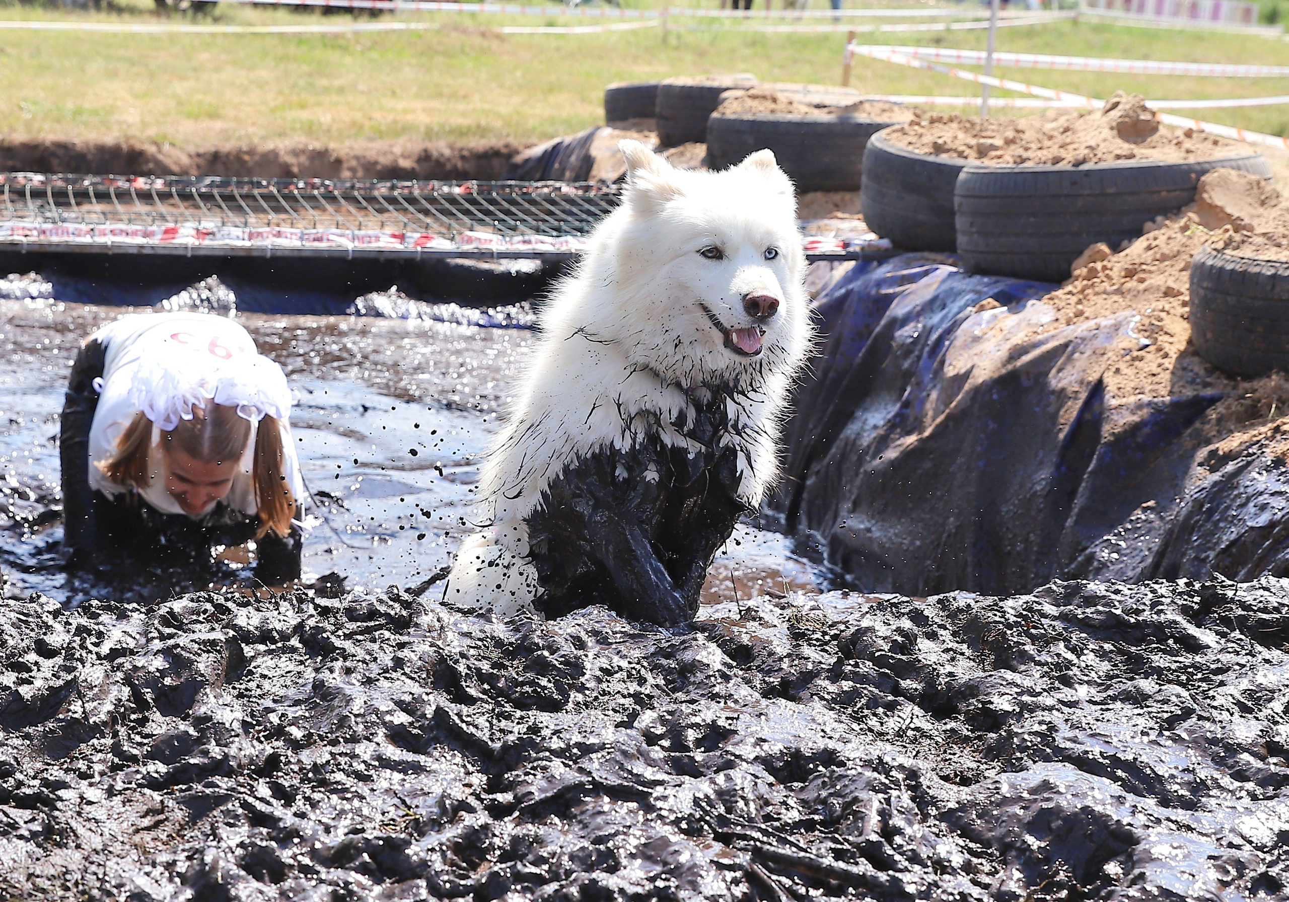 Хвостатый драйв. Семейный и детский фотограф в Москве и МО Елена Москвичева