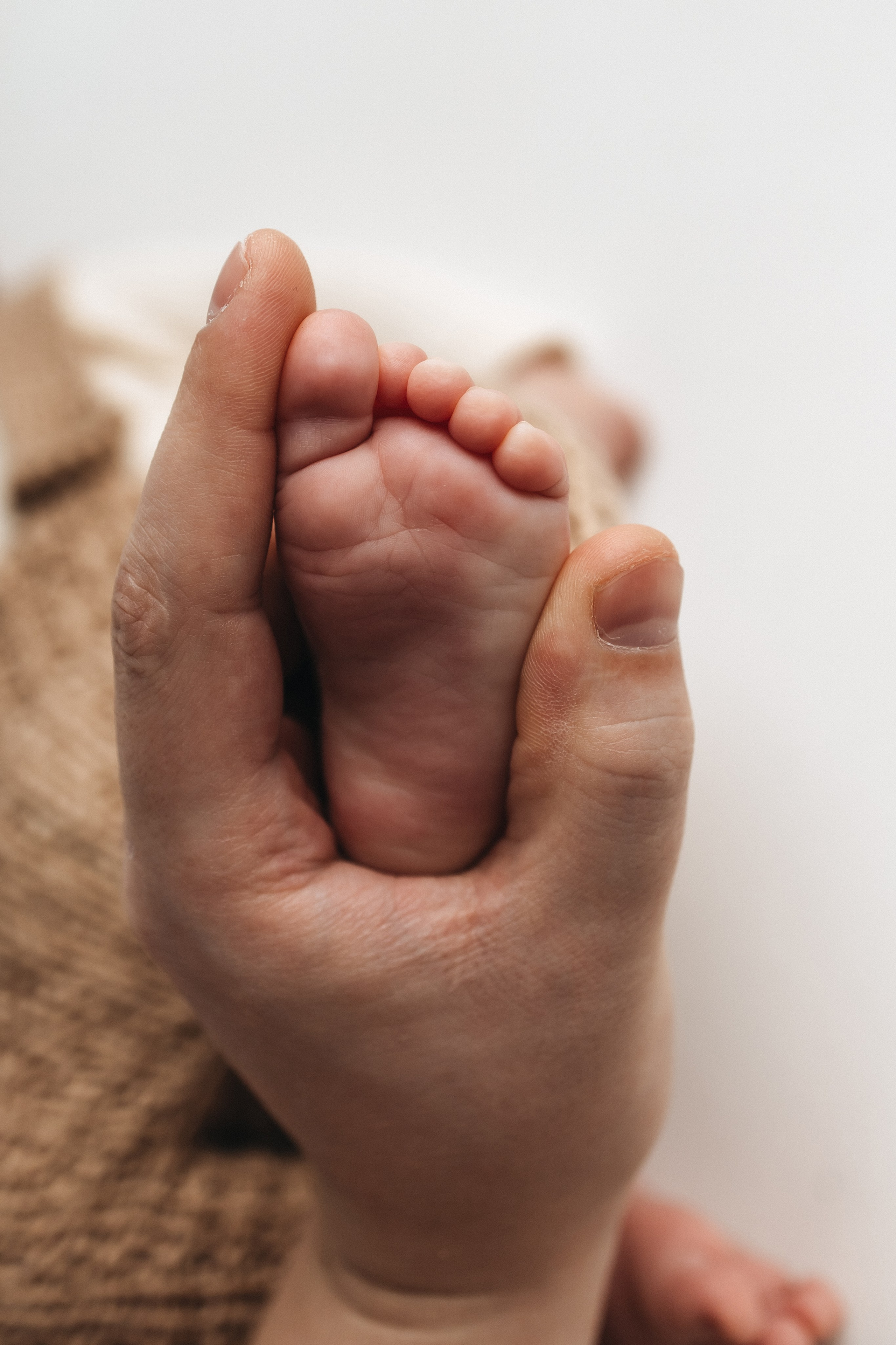 ПАКЕТ «Simple». Главная