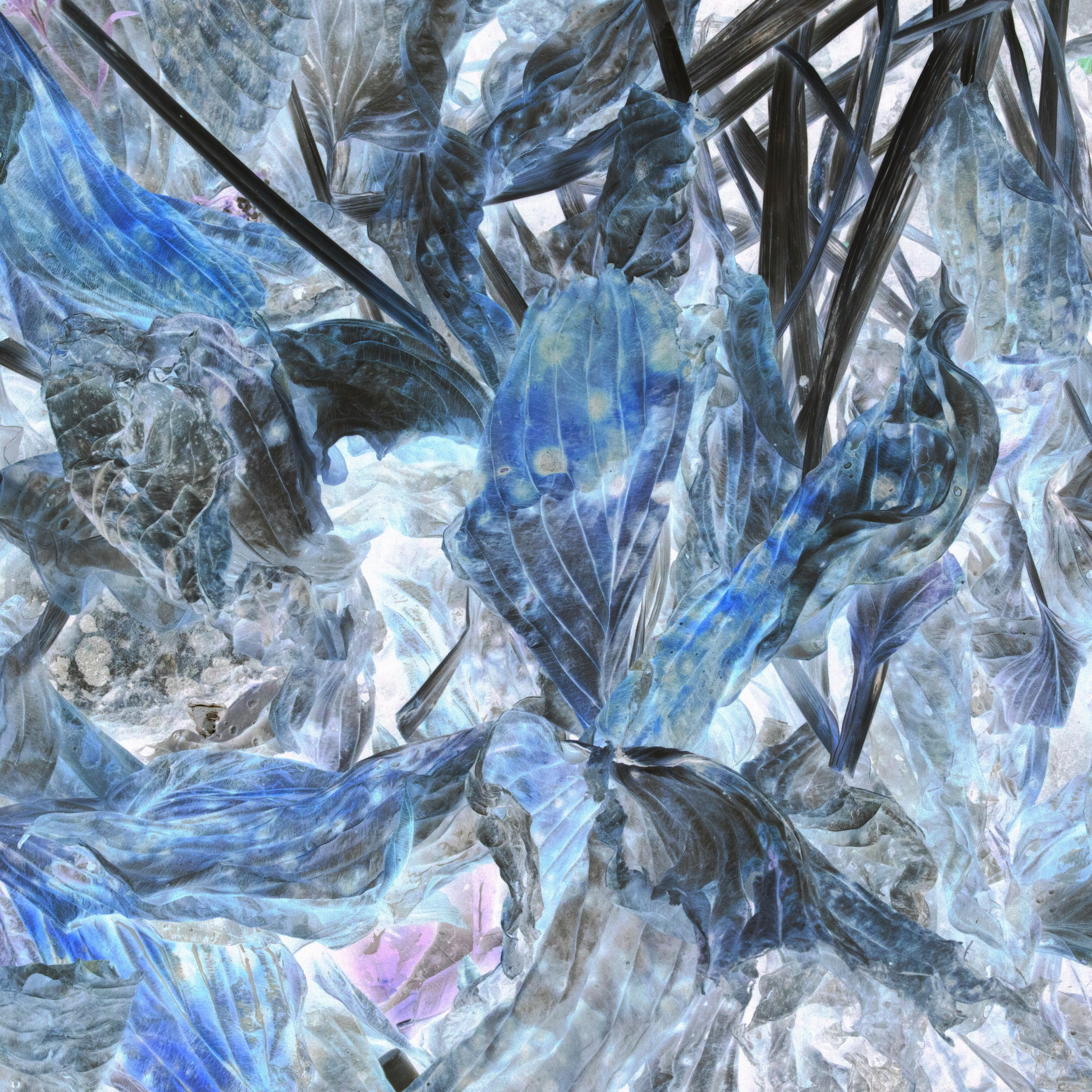 Юля Германович | Сад. Private image