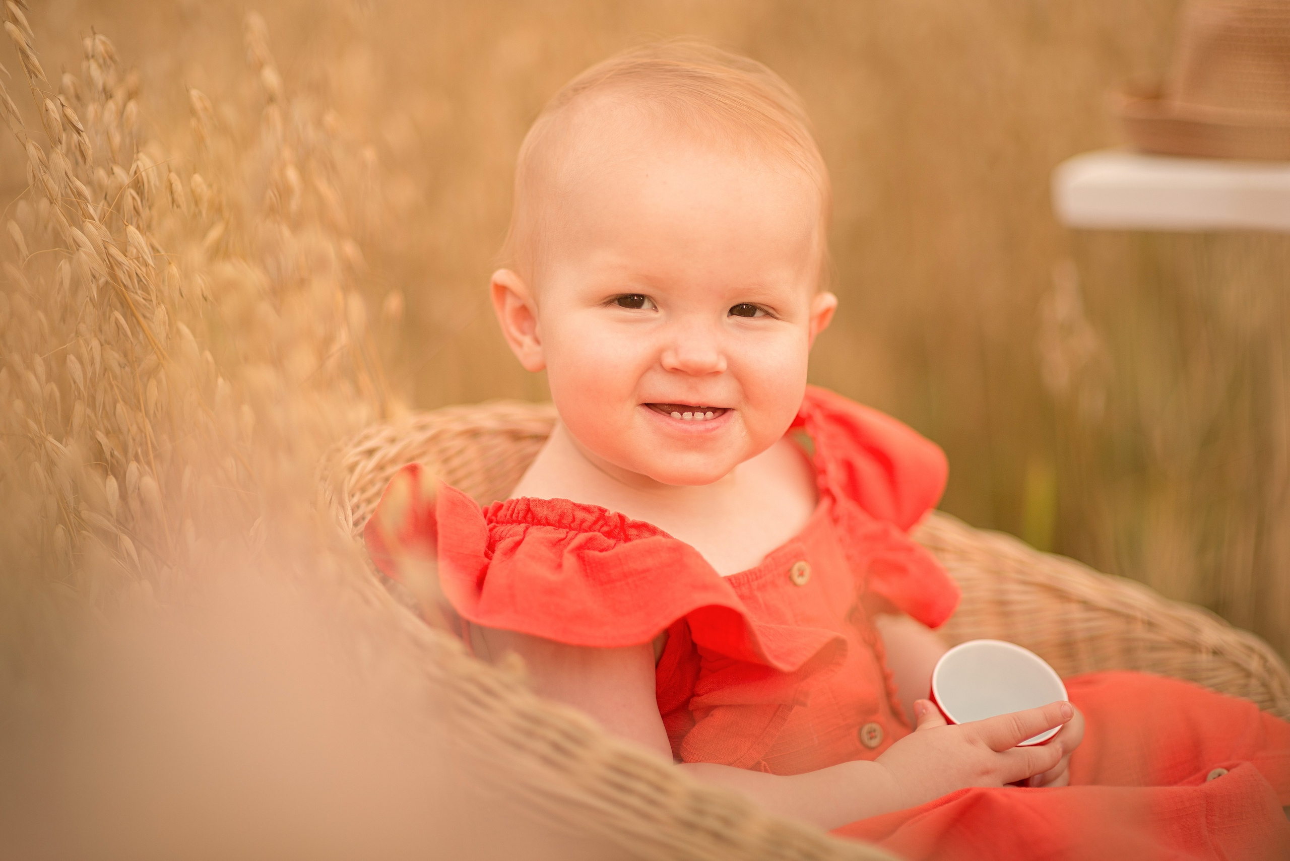 Чаепитие с медведем. Фотограф Москва — Серпухов — Таруса Ольга Кокеткина