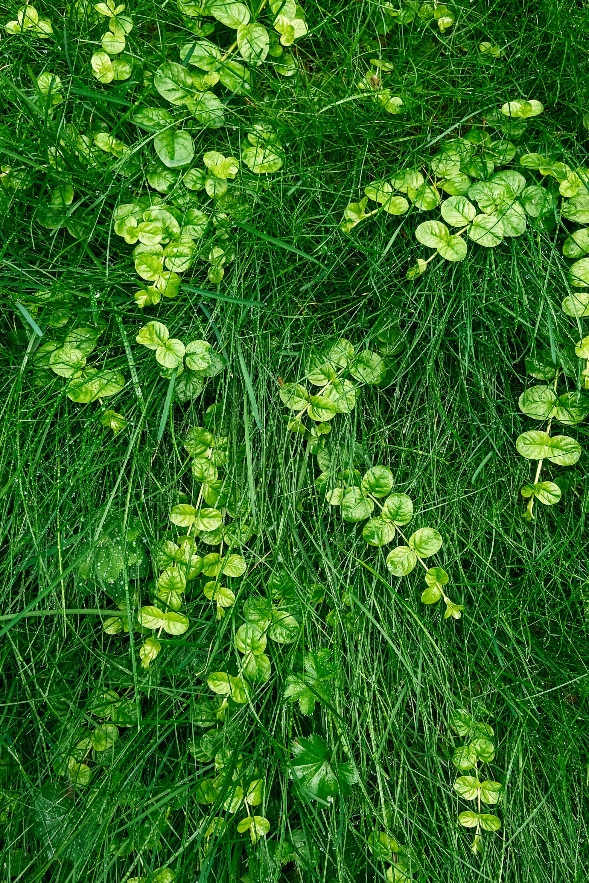 Природа. Команда фотографов Кристины Ивановой