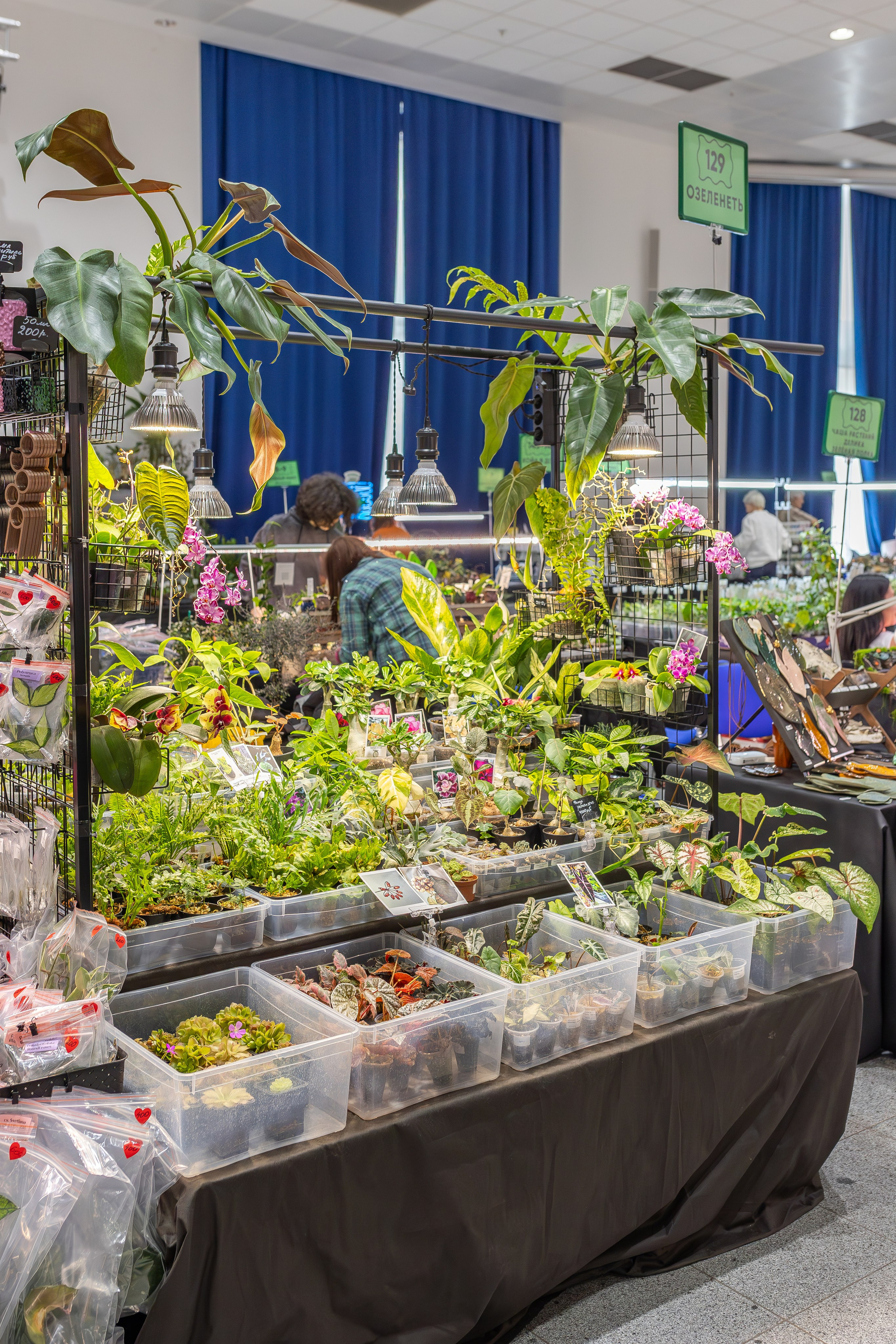 Монстериум апрель 2026. Александра Куликова фотограф, Москва