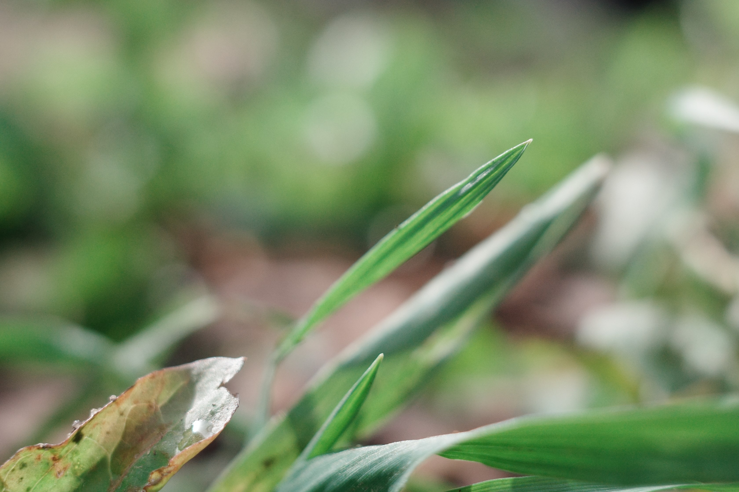 Галерея Ricoh GR3 HDF. Константин Устинов — фотограф