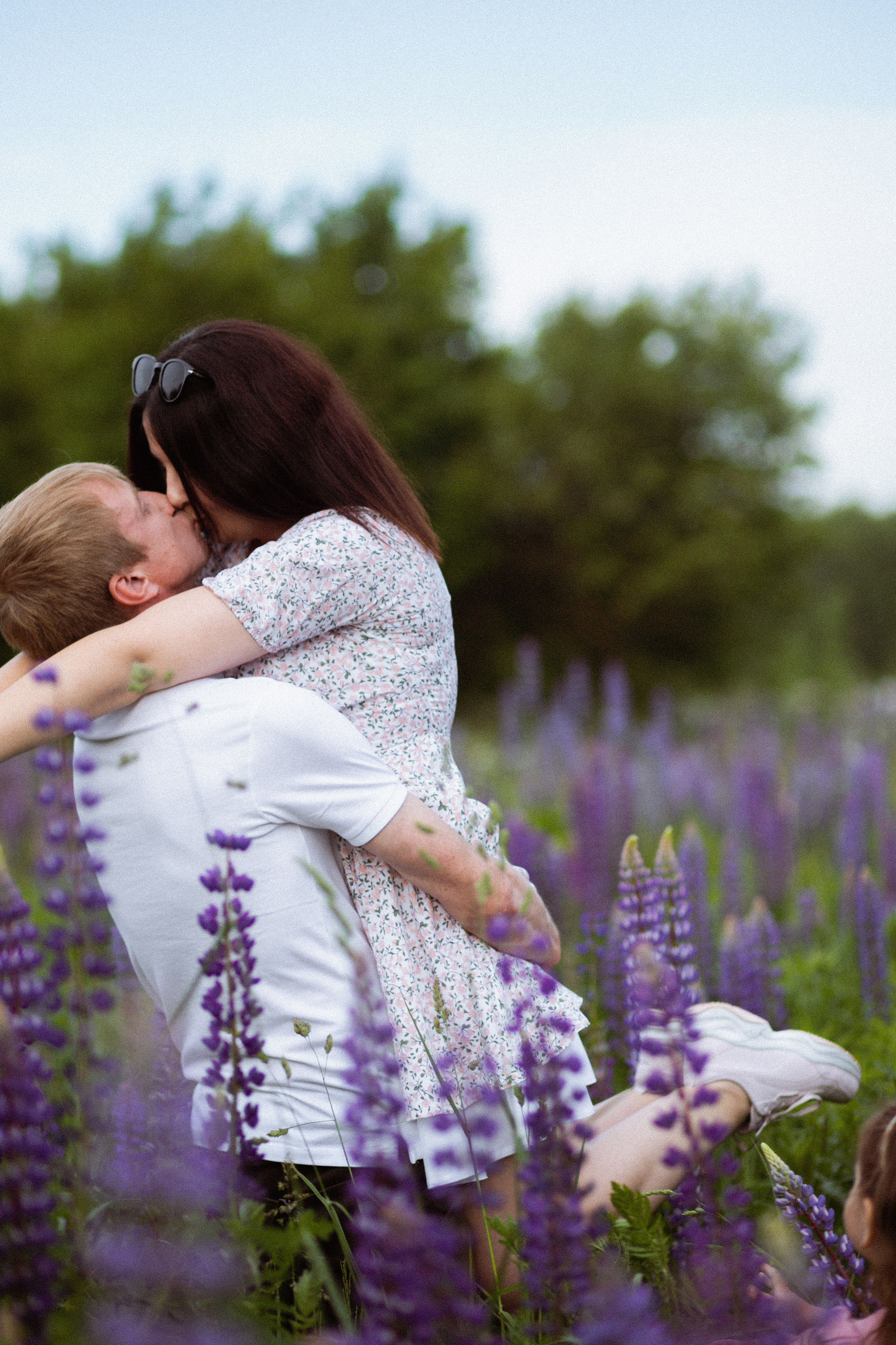 Июньские люпины. Фотограф в Москве/Санкт-Петербурге