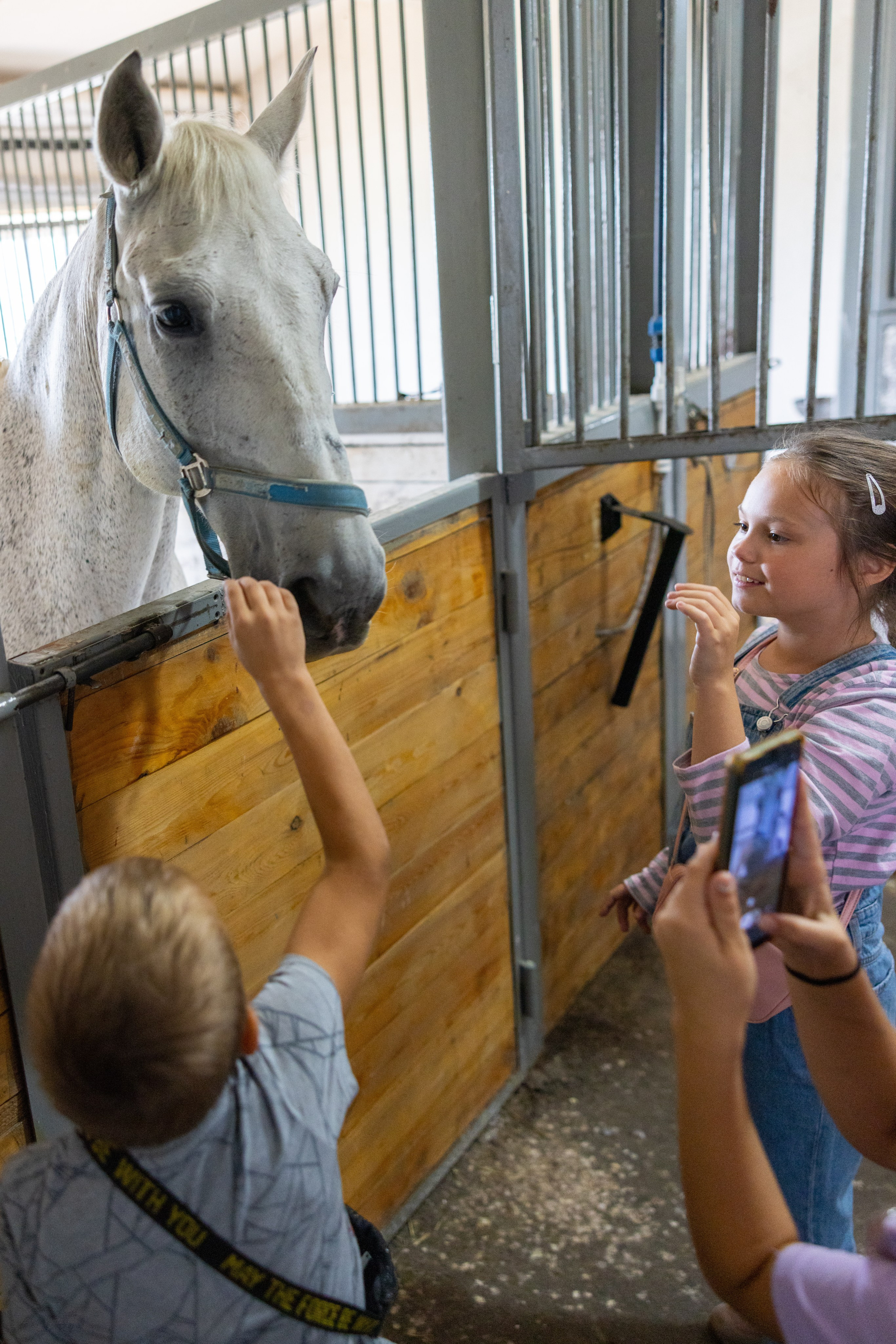 Поездка на поле Кулеково. Фотограф в Туле Крупский АнДРей. Фотостудия «КАДР71» в Туле