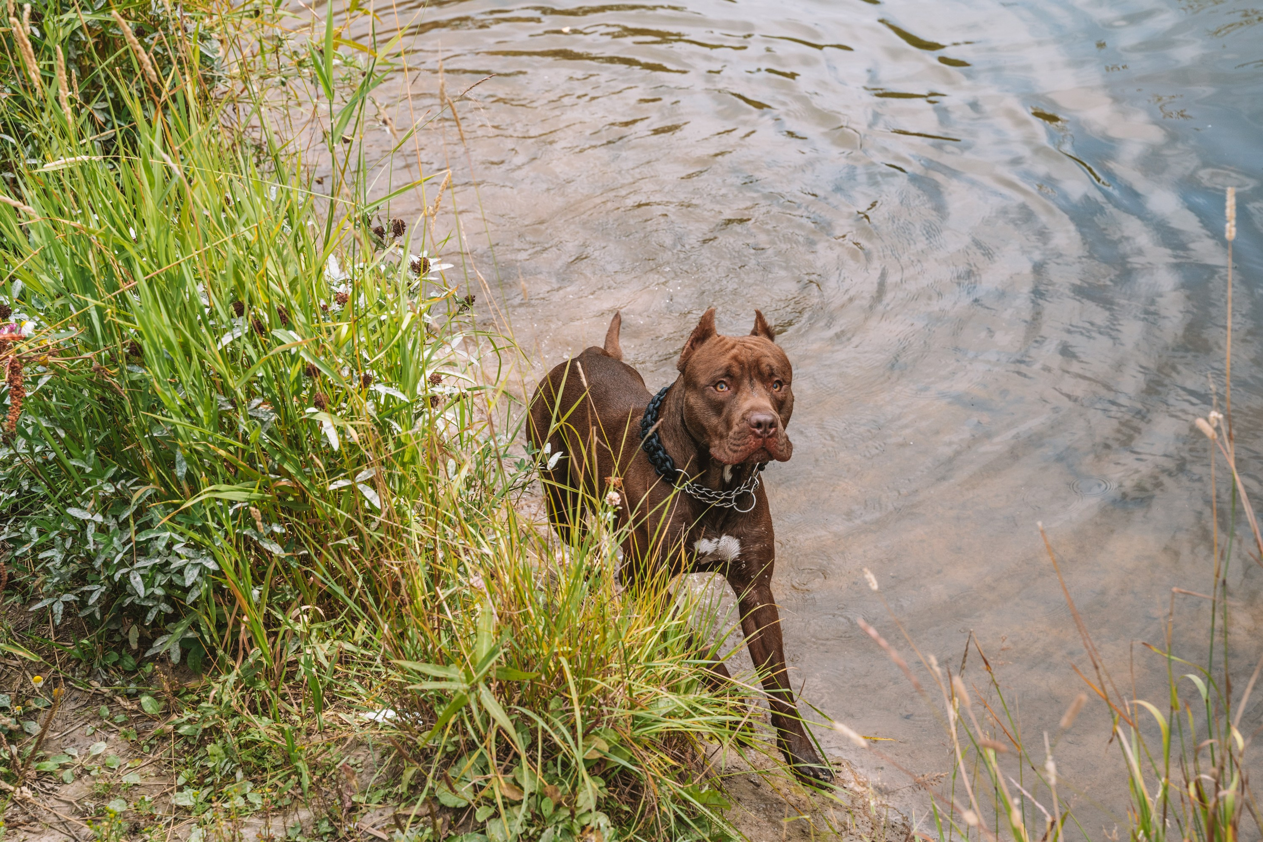 Лав стори фотограф Санкт-Петербург. Свадебный, семейный, портретный, репортажный фотограф в Санкт-Петербурге