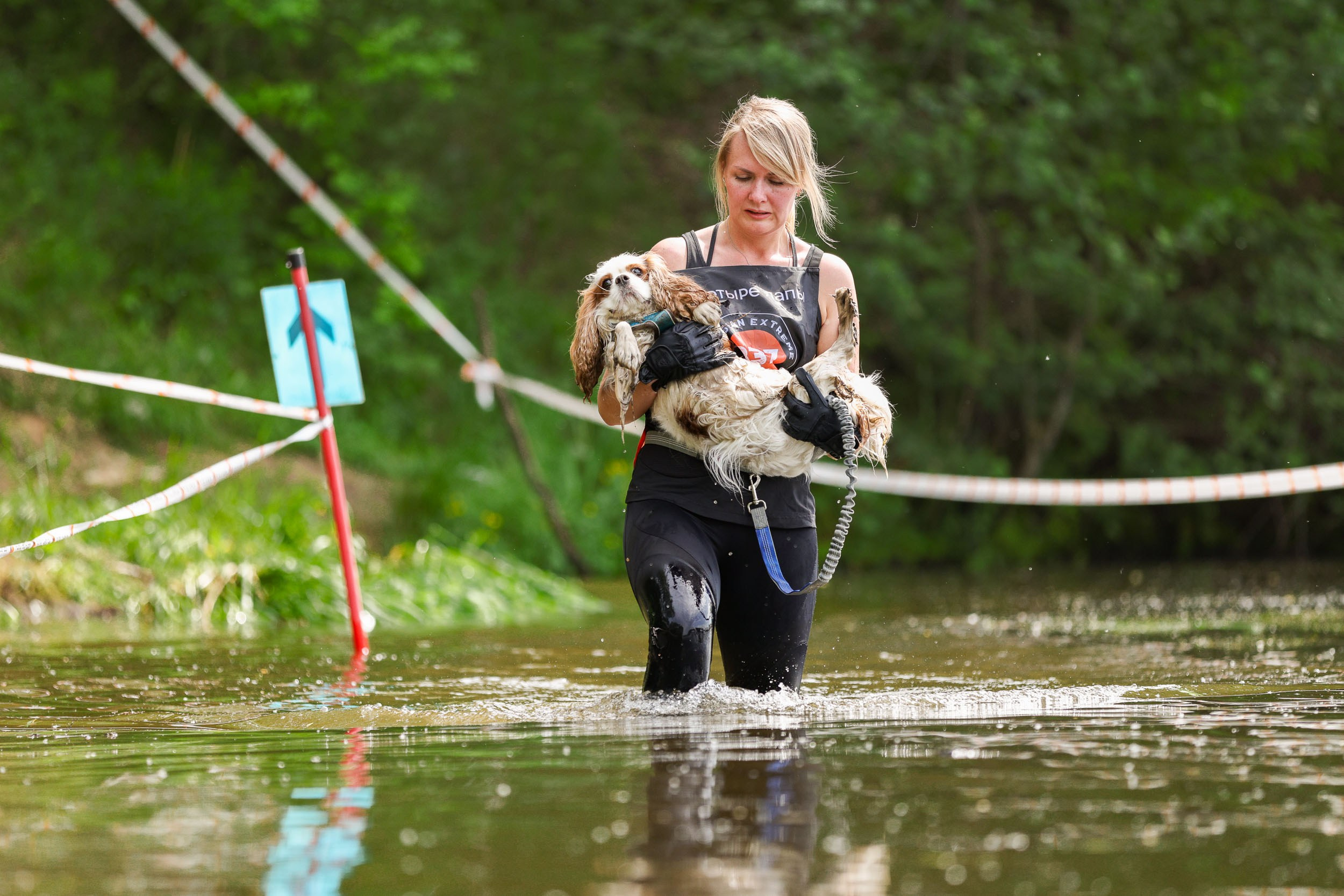 Фото с Russian extreme dog trail. Фотограф-анималист в Москве и Московской области Татьяна Фролова