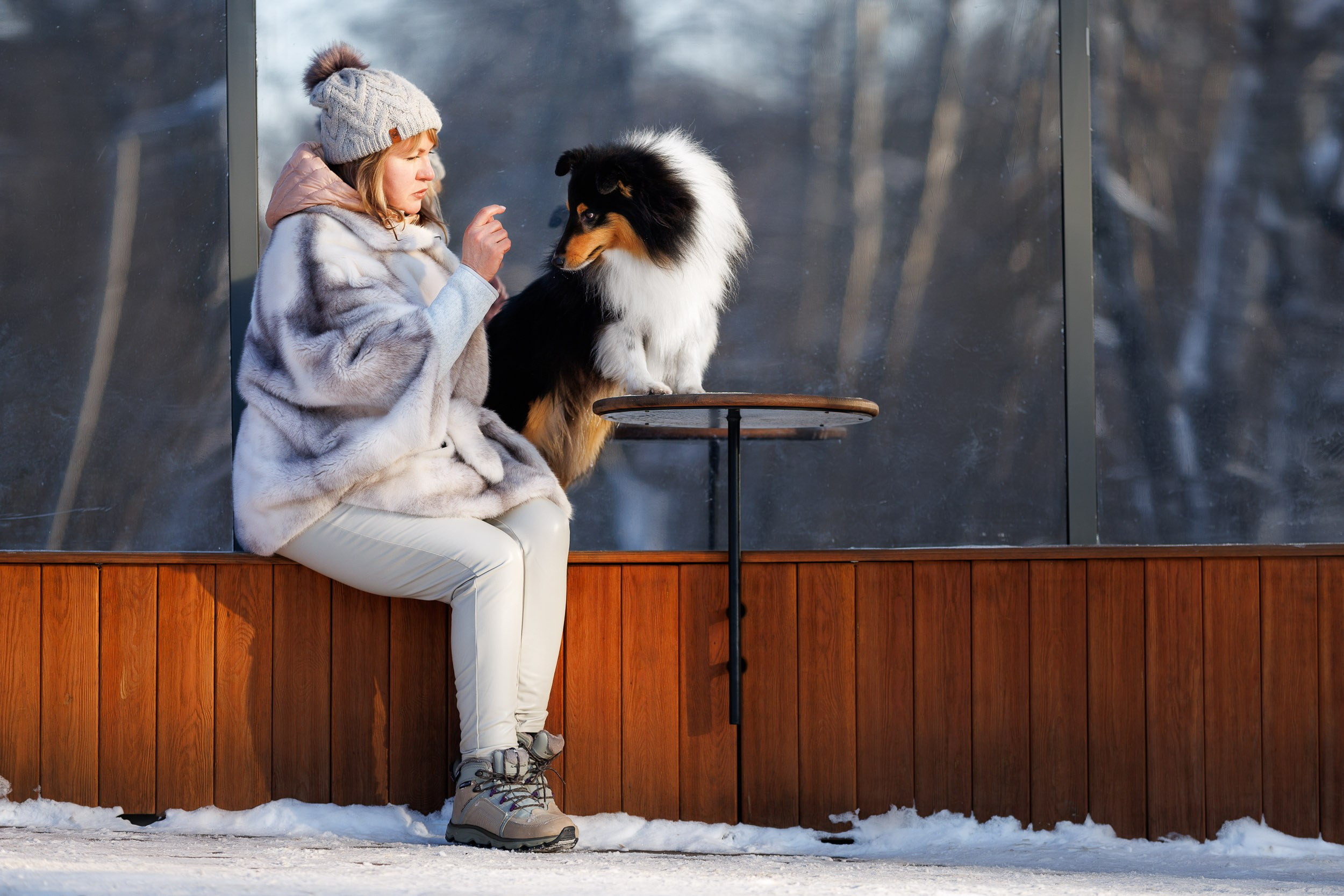 Марик и Дэн. Фотограф-анималист в Москве и Московской области Татьяна Фролова