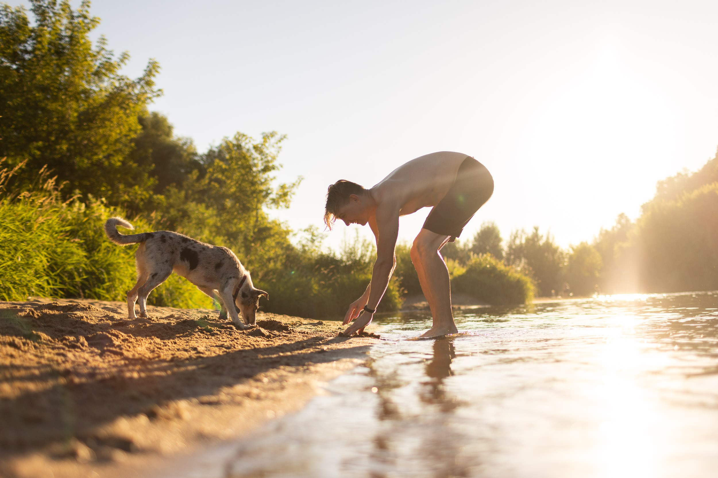 Купание щенков в стиле лайфстайл. Фотограф-анималист в Москве и Московской области Татьяна Фролова