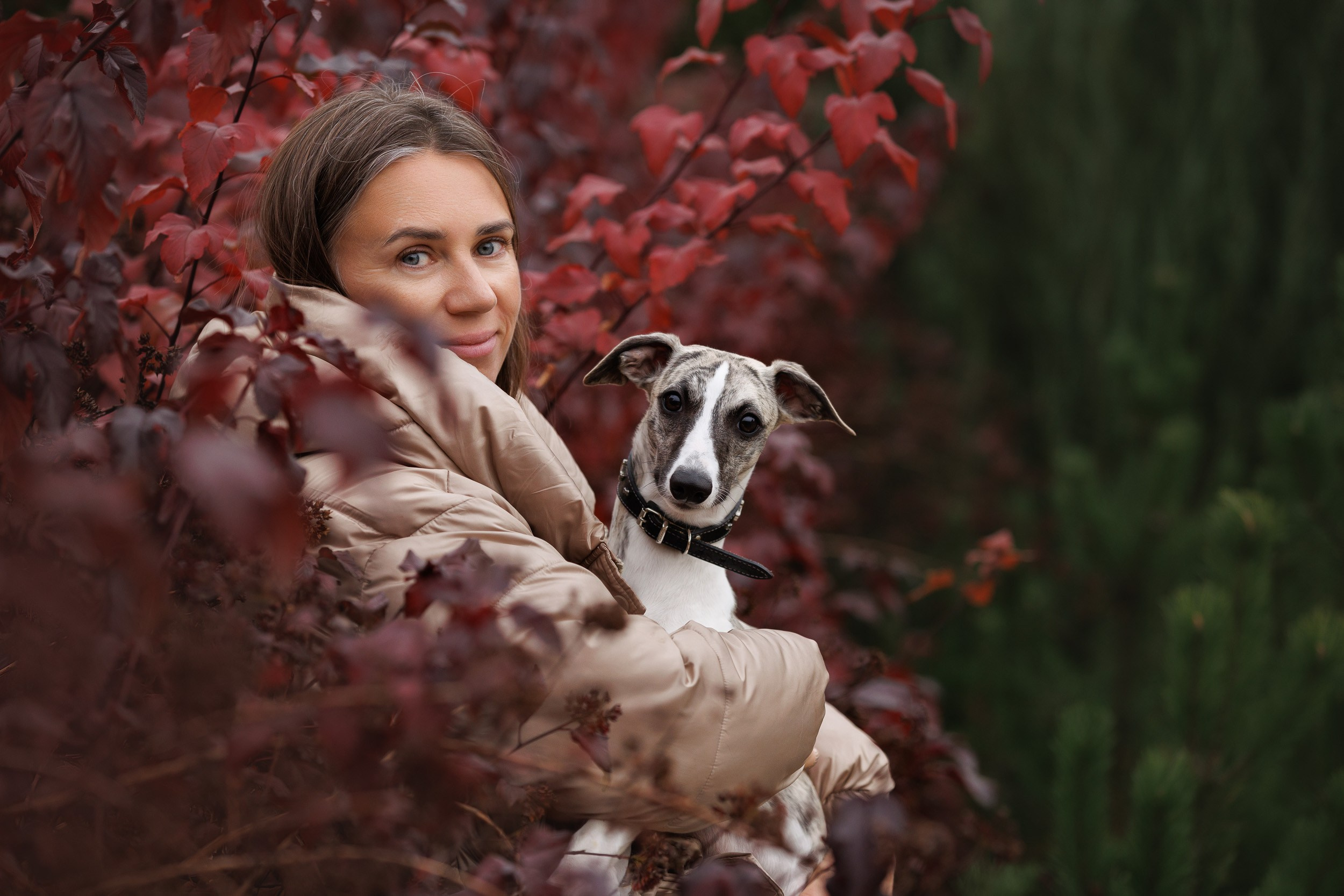 Город Набережных. Фотограф-анималист в Москве и Московской области Татьяна Фролова