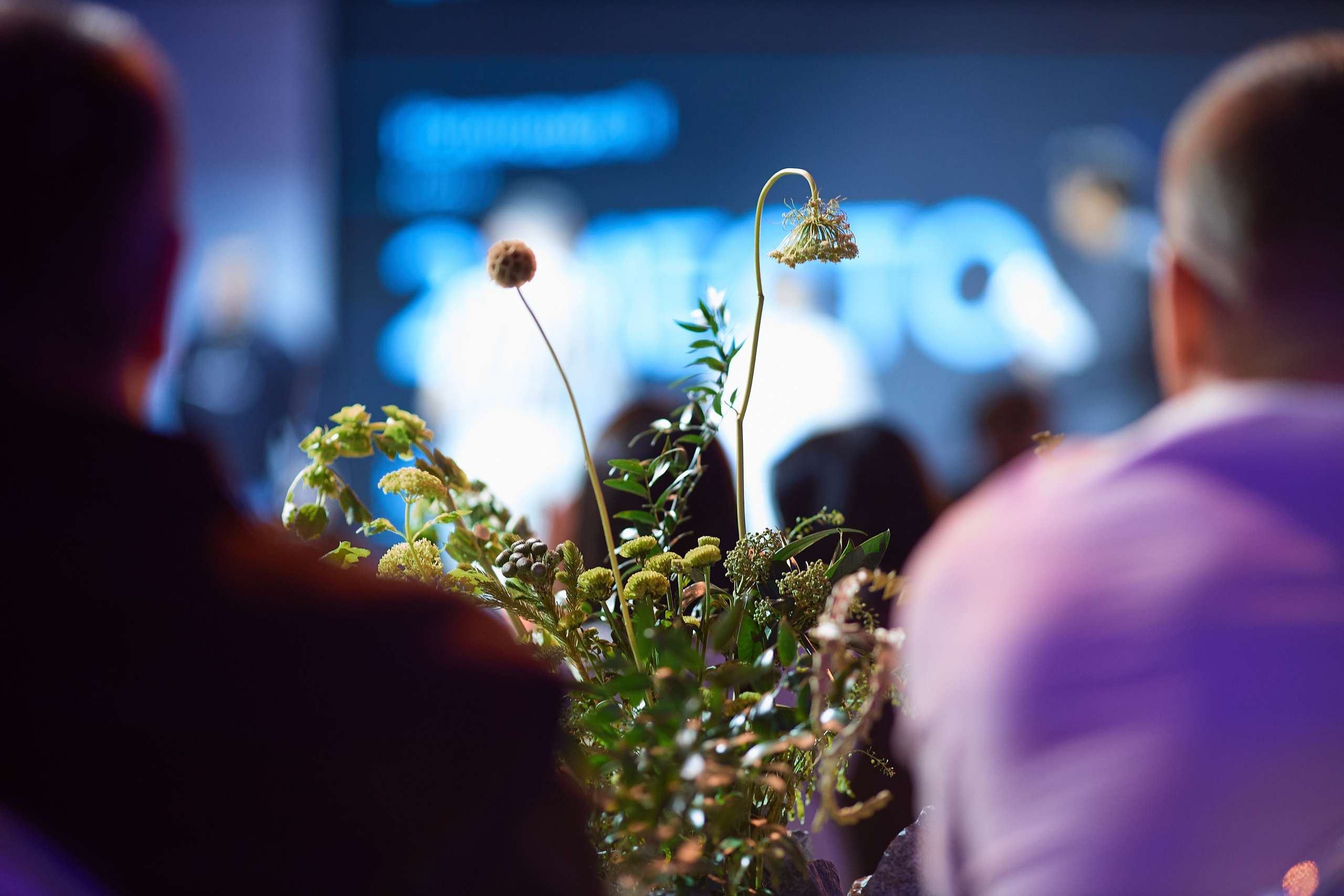 Betboom ежегодное награждение. Репортажный фотограф, портретный фотограф  г. Москва