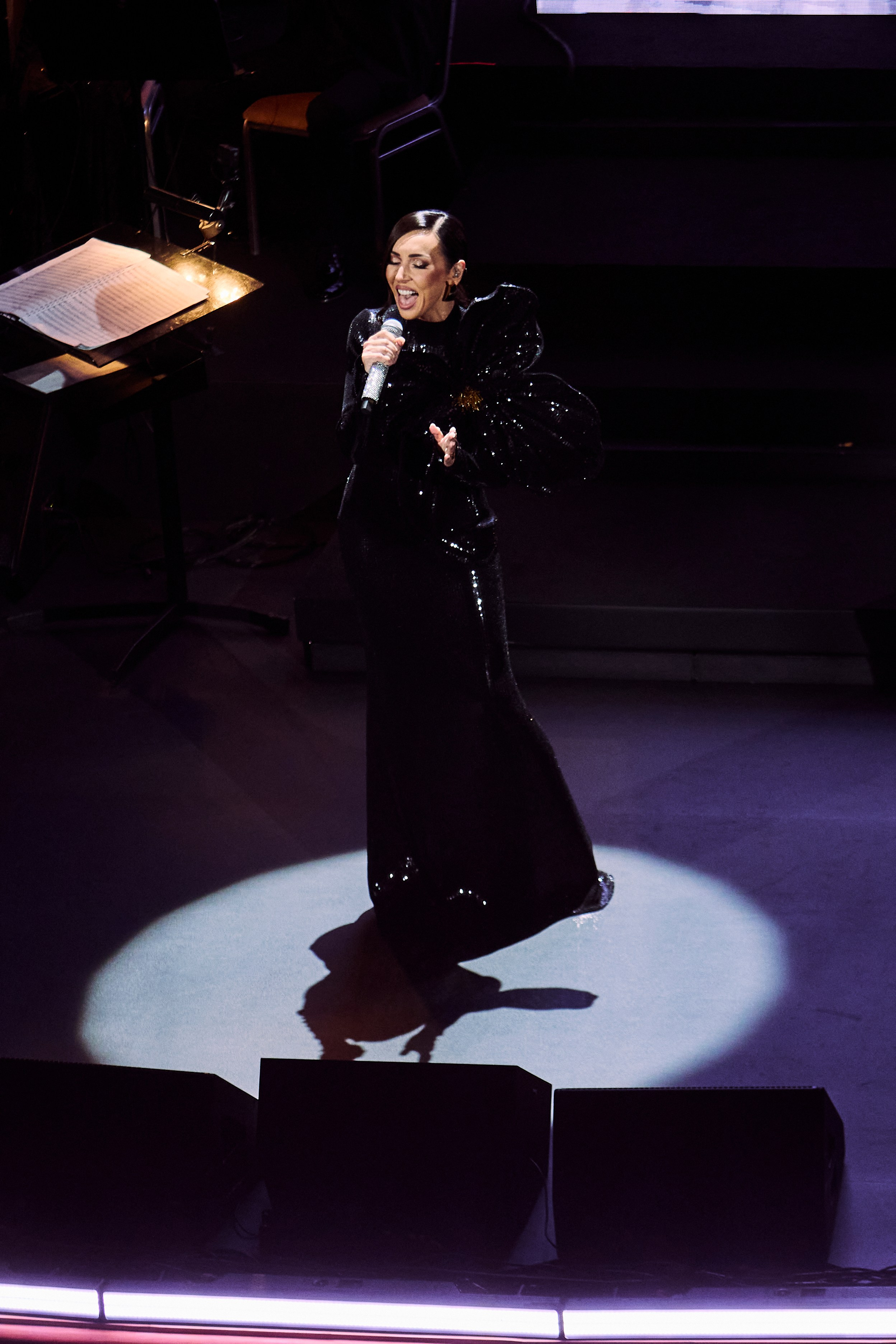 Concert. Репортажный фотограф, портретный фотограф  г. Москва