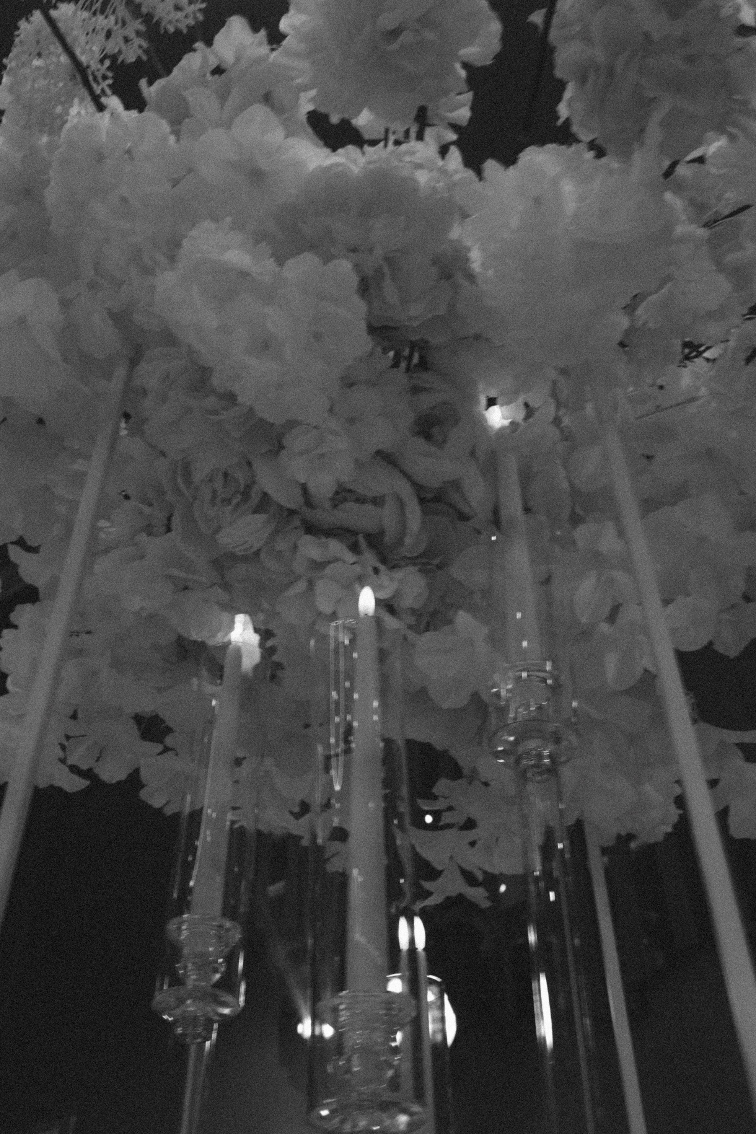 Я не думаю, я чувствую. Свадебный фотограф в Севастополе и Крыму. Видеограф на свадьбу Крым, Севастополь, Ялта, Симферополь