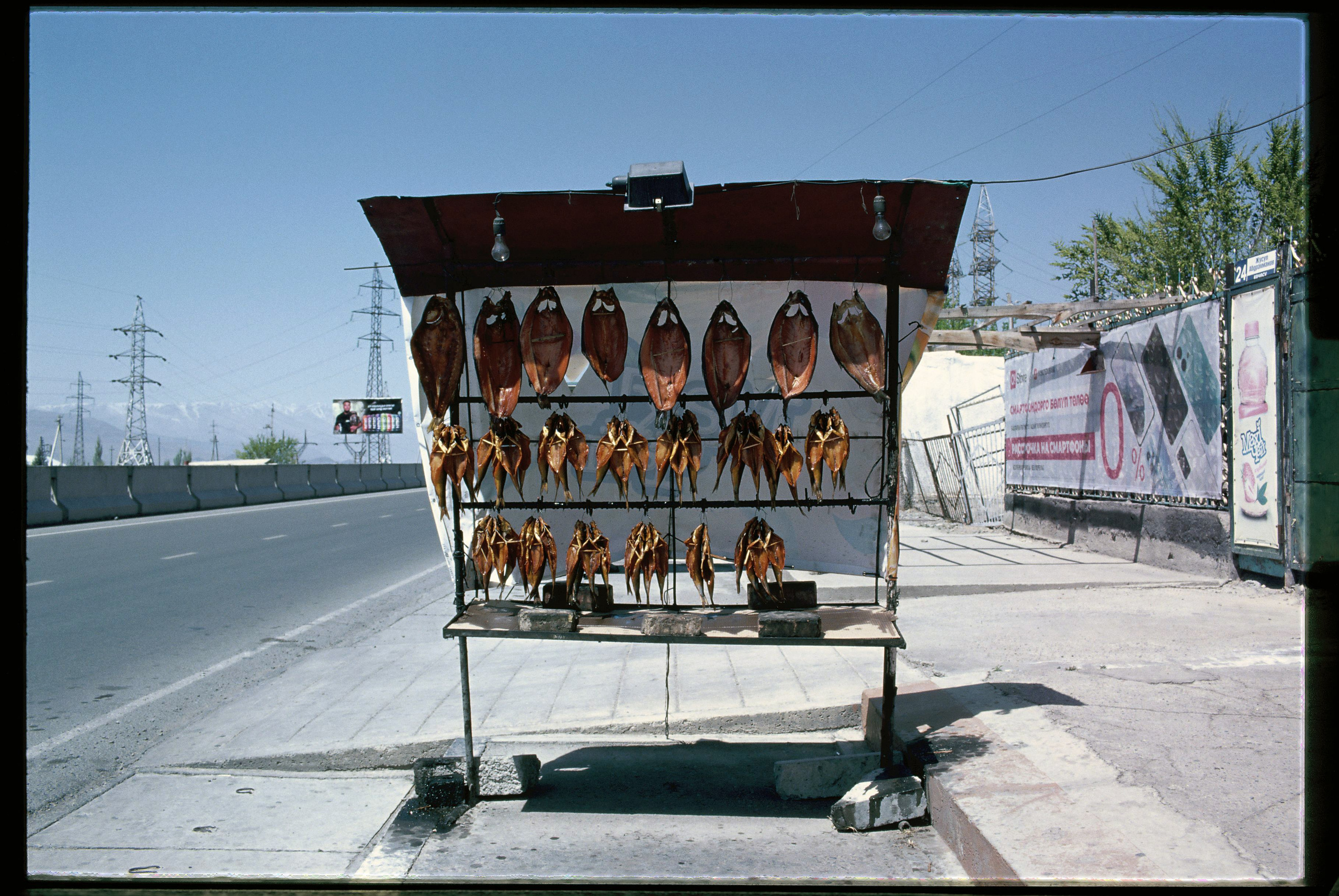 SILK ROAD. Dima Ptitsyn