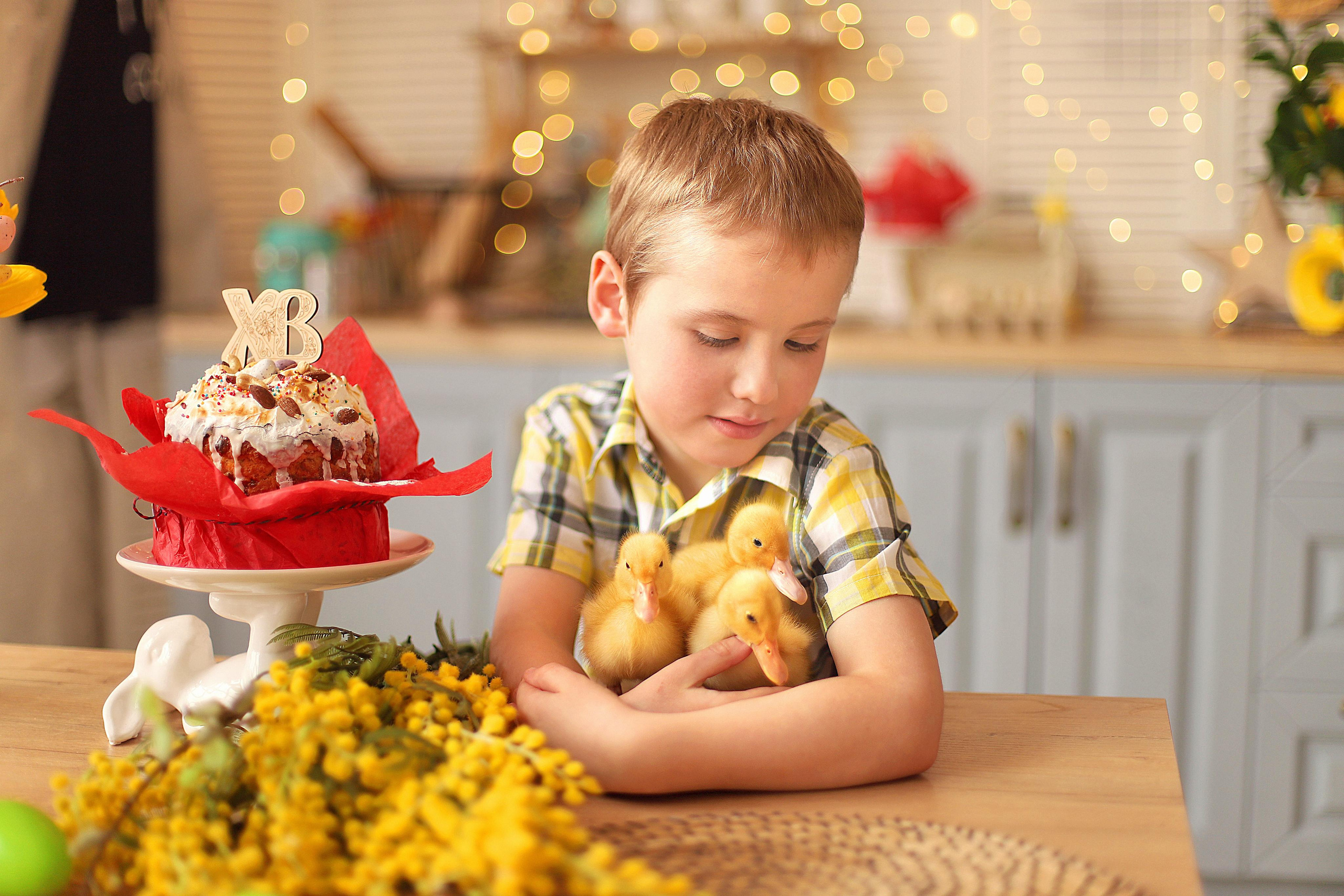 Детская. Портфолио