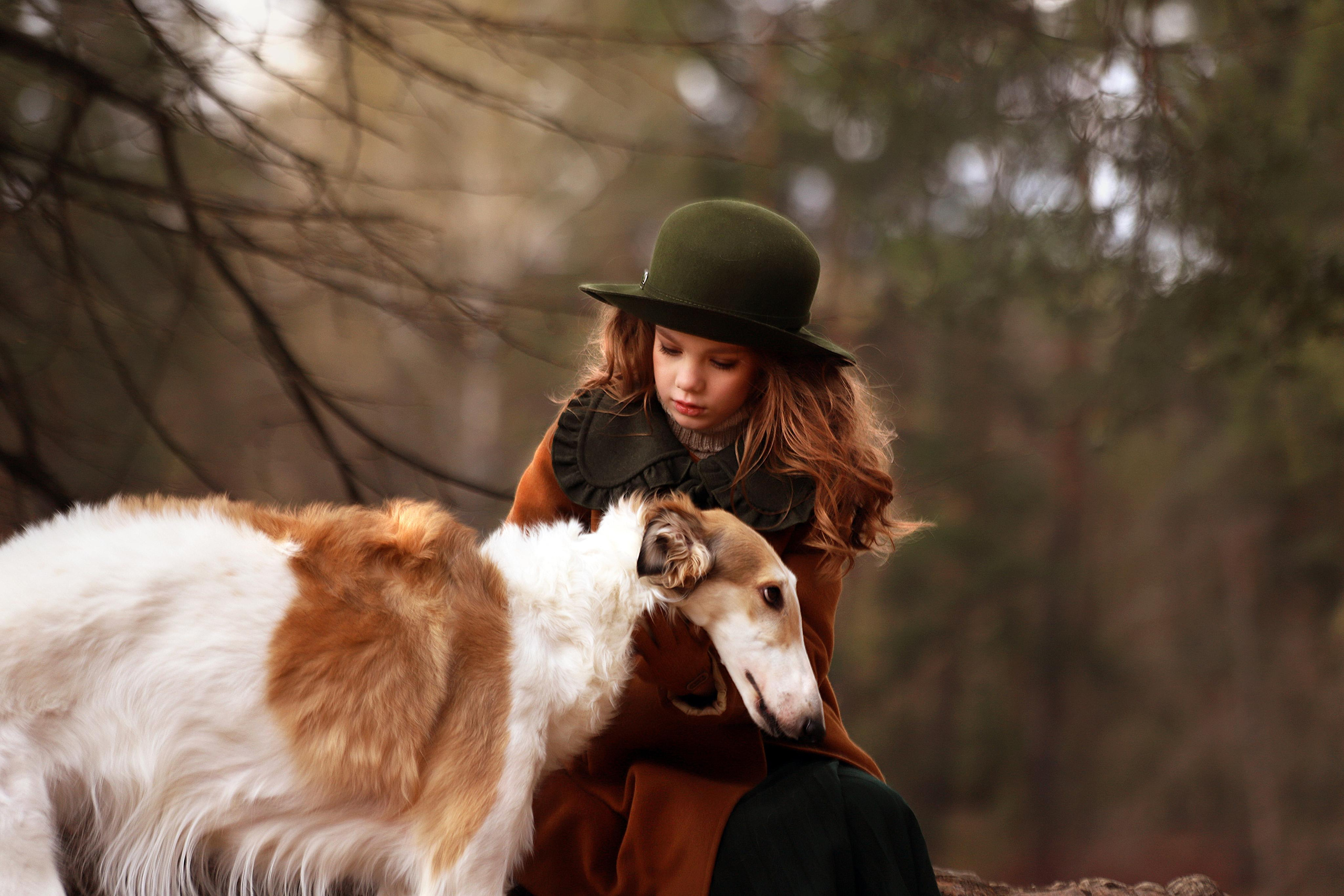 Фотосессия с борзыми. Портфолио