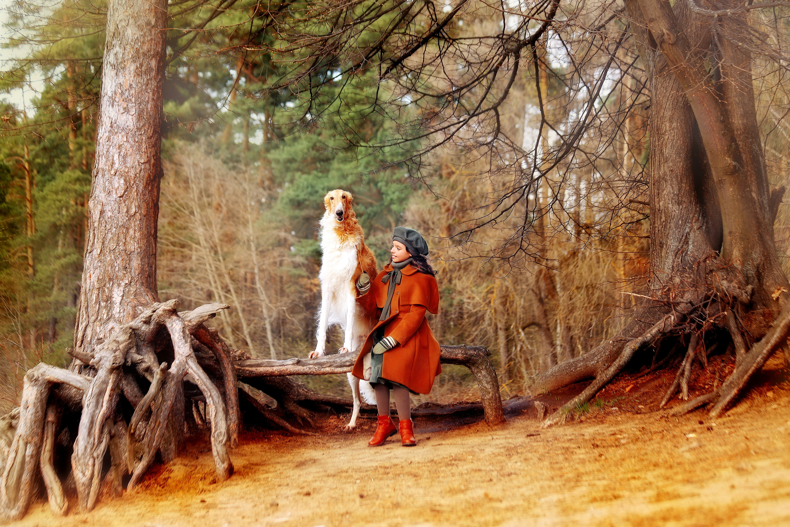 Фотосессия с борзыми. Портфолио