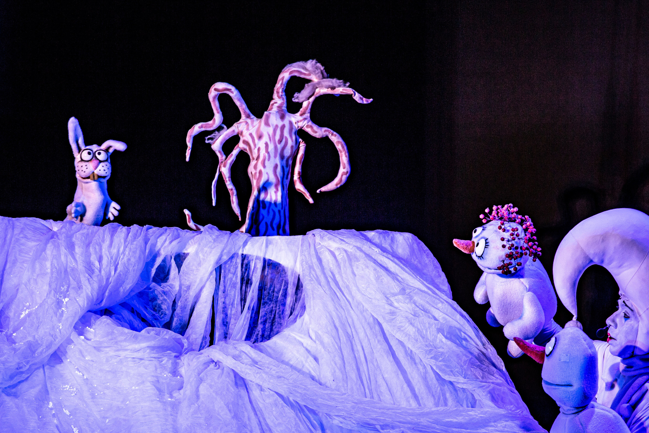 Спектакль Снежные человечки — театр Саквояж. Фотограф в Сочи Юрий Шептаев