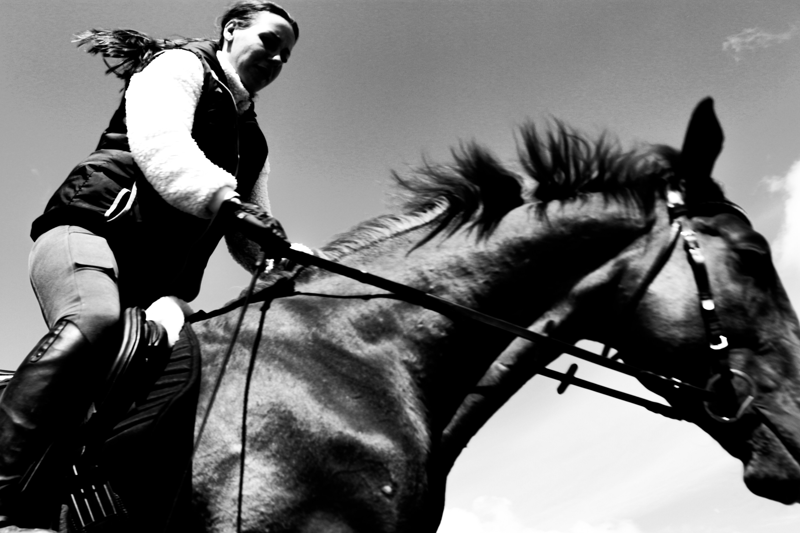 Лошади «Каскад» и «Брилиант». Алиса Томшина — Фотограф / Видеограф