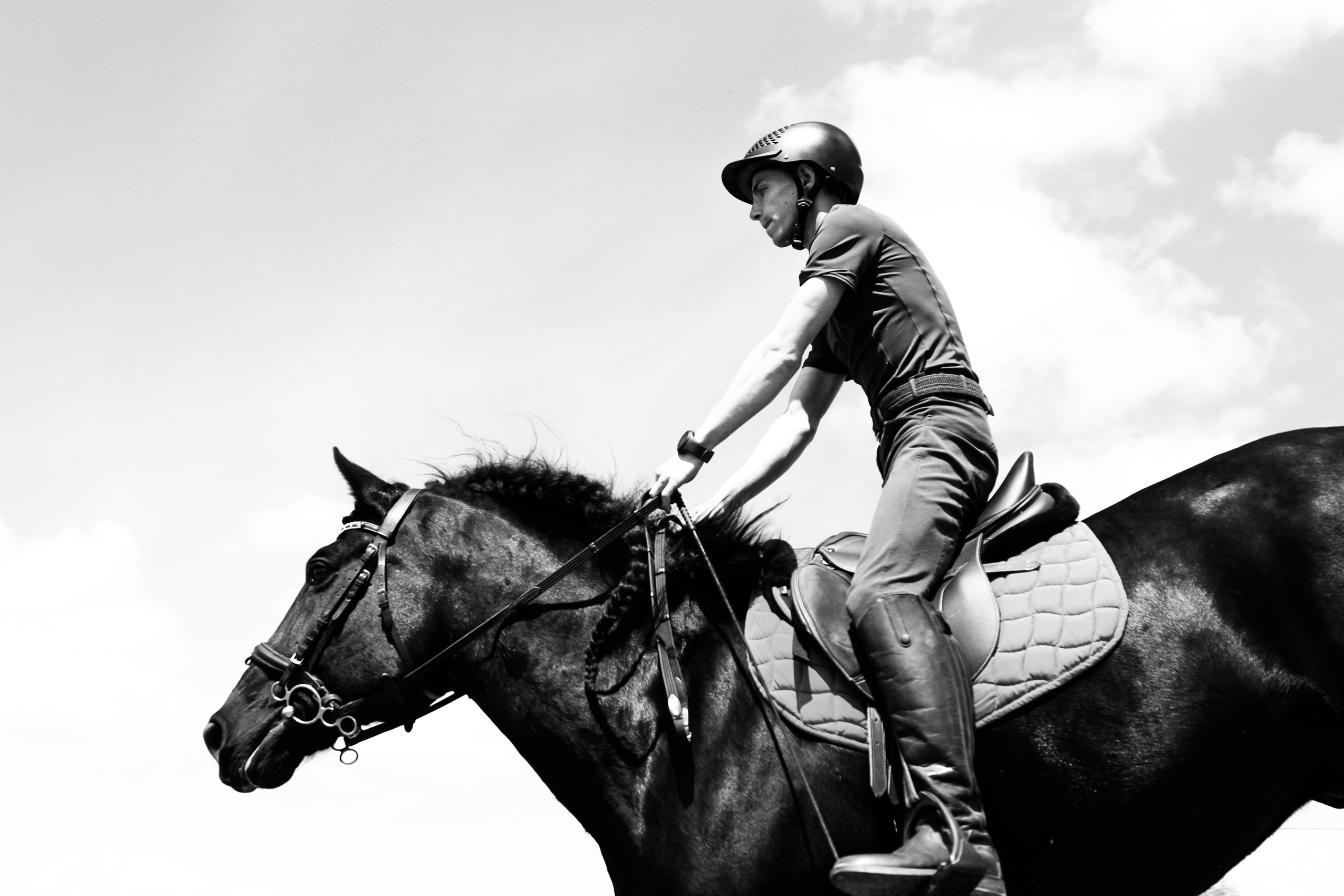 Лошади «Каскад» и «Брилиант». Алиса Томшина — Фотограф / Видеограф