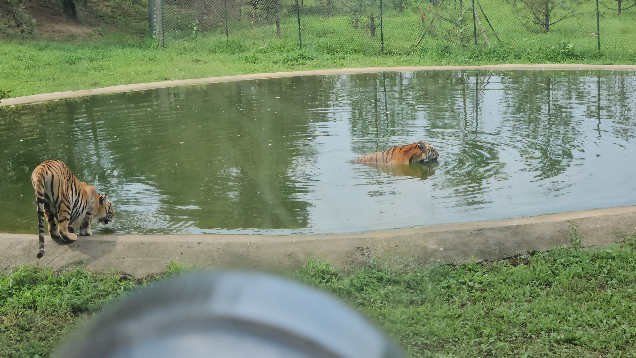 Китай. Июль 2025