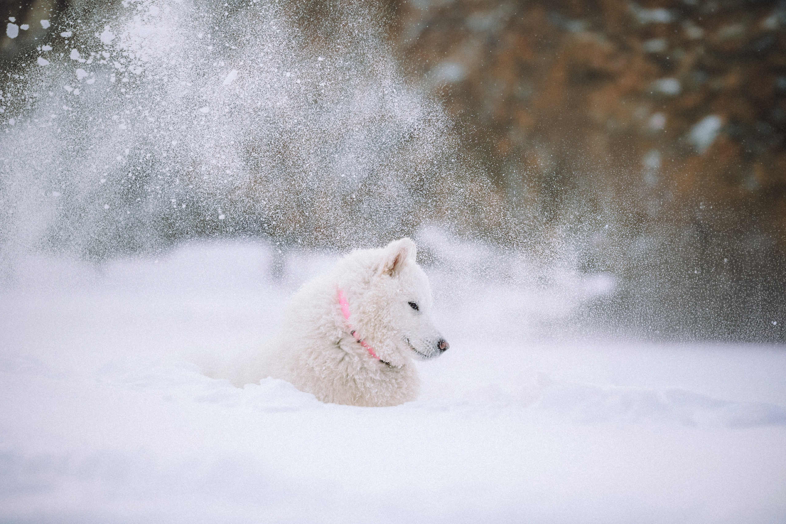 Мария и Мася