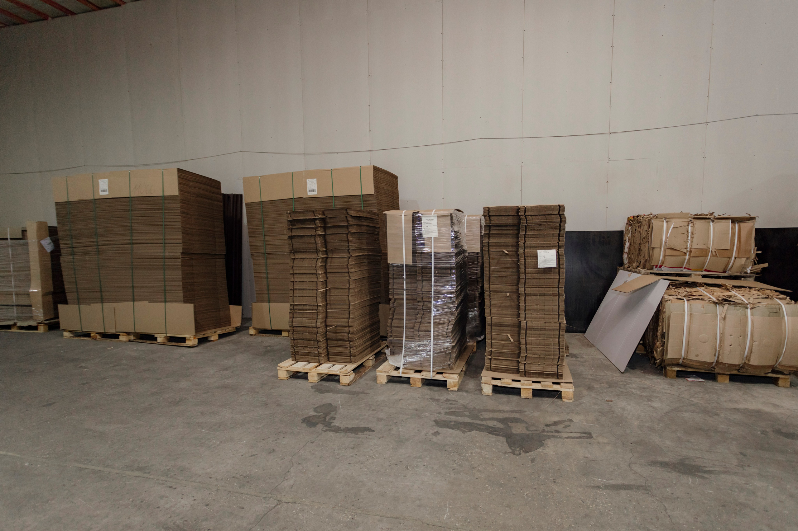 Хитбокс Производство. Деловая и Бизнес съемка в  Москве Инесса Грушко