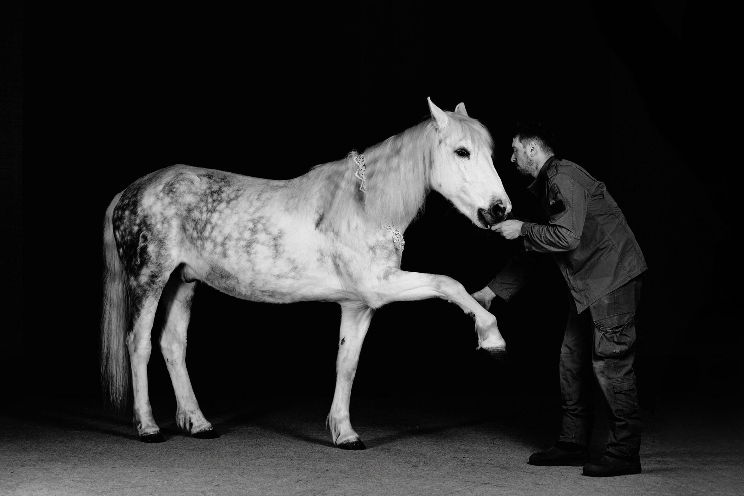 SHUSTOVI/ANIMALS. Sveta GOSHTAUTAS фотограф Пермь