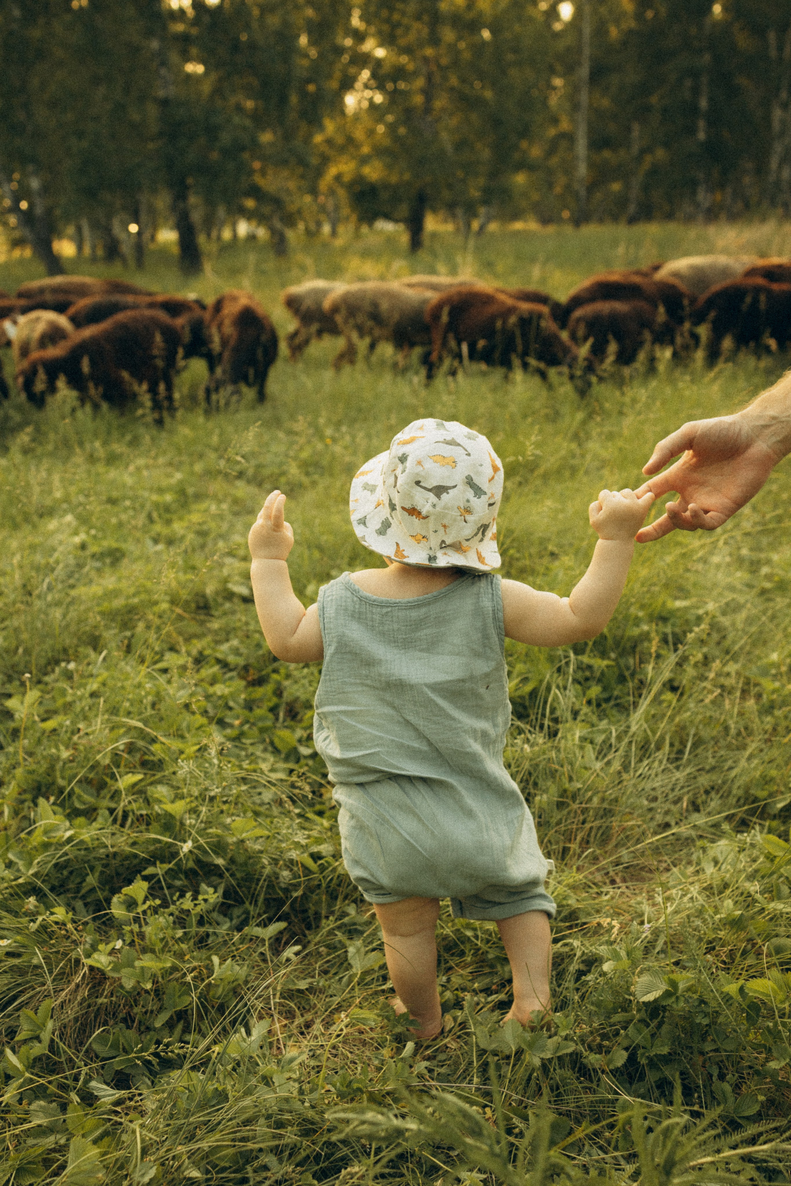 На природе. Семейный фотограф Новосибирск Фотограф на выписку Новосибирск