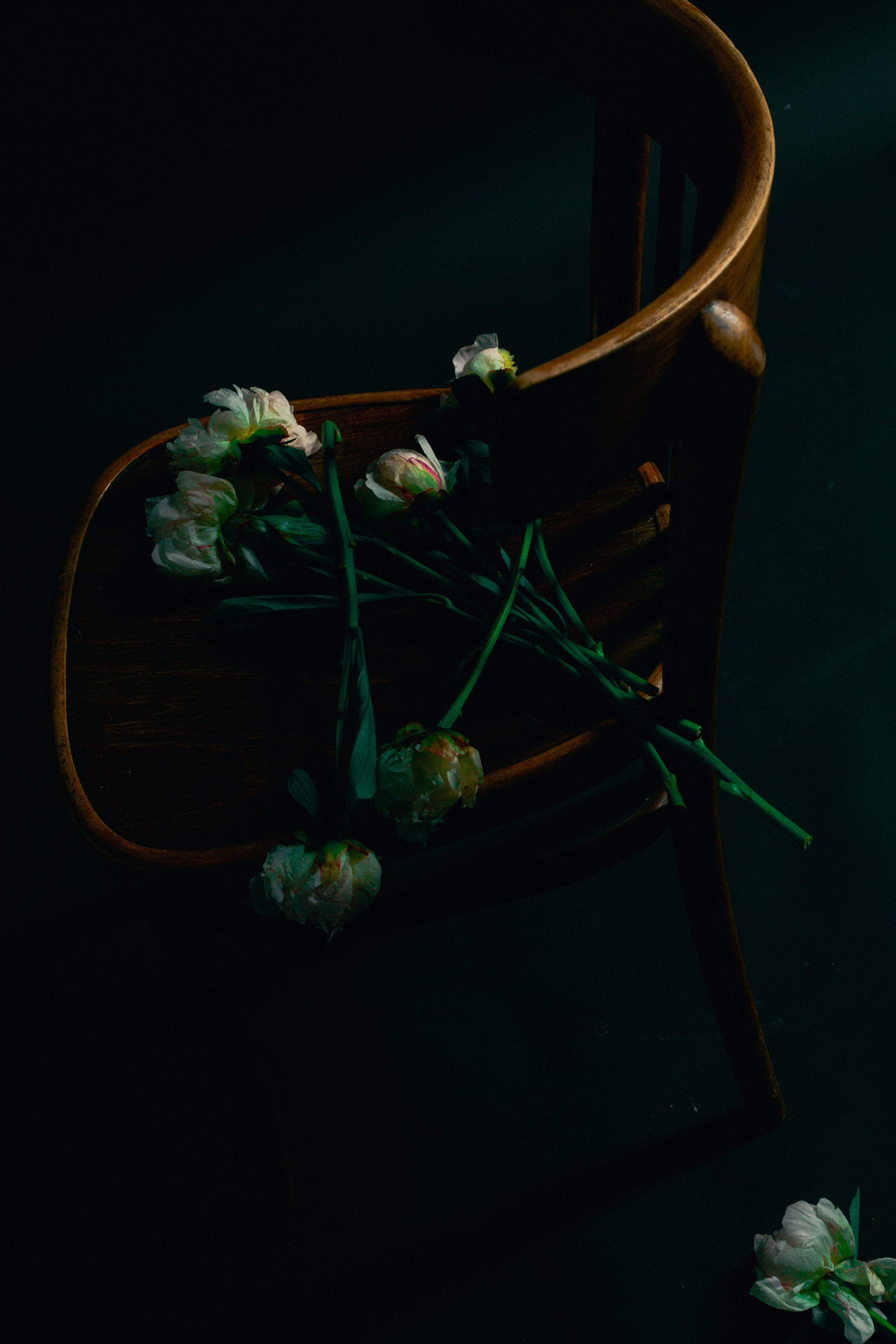 Настя. Фотограф Блинова Арина | Санк-Петербург