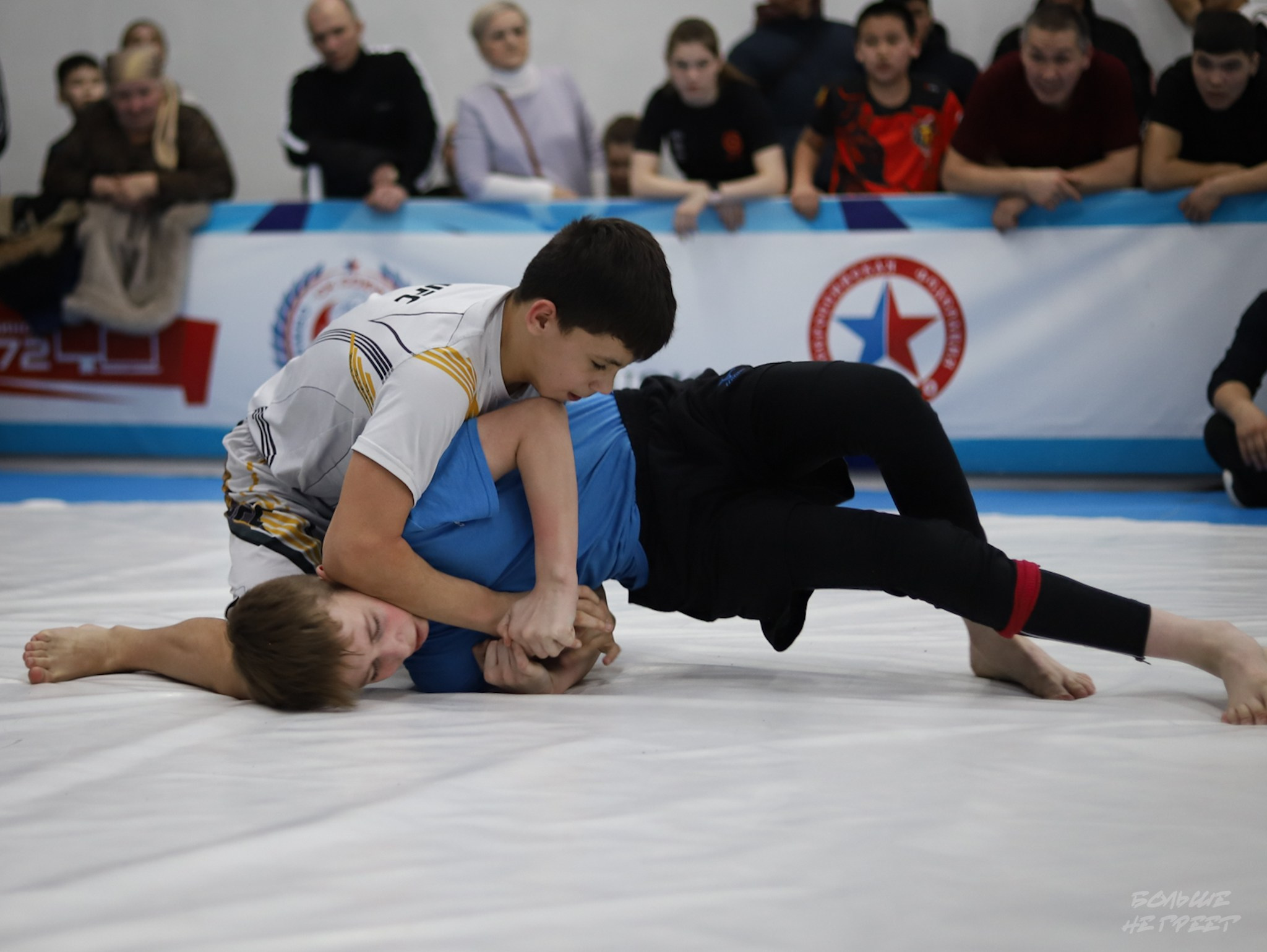 GORILLA PRIDE CUP. Больше не греет