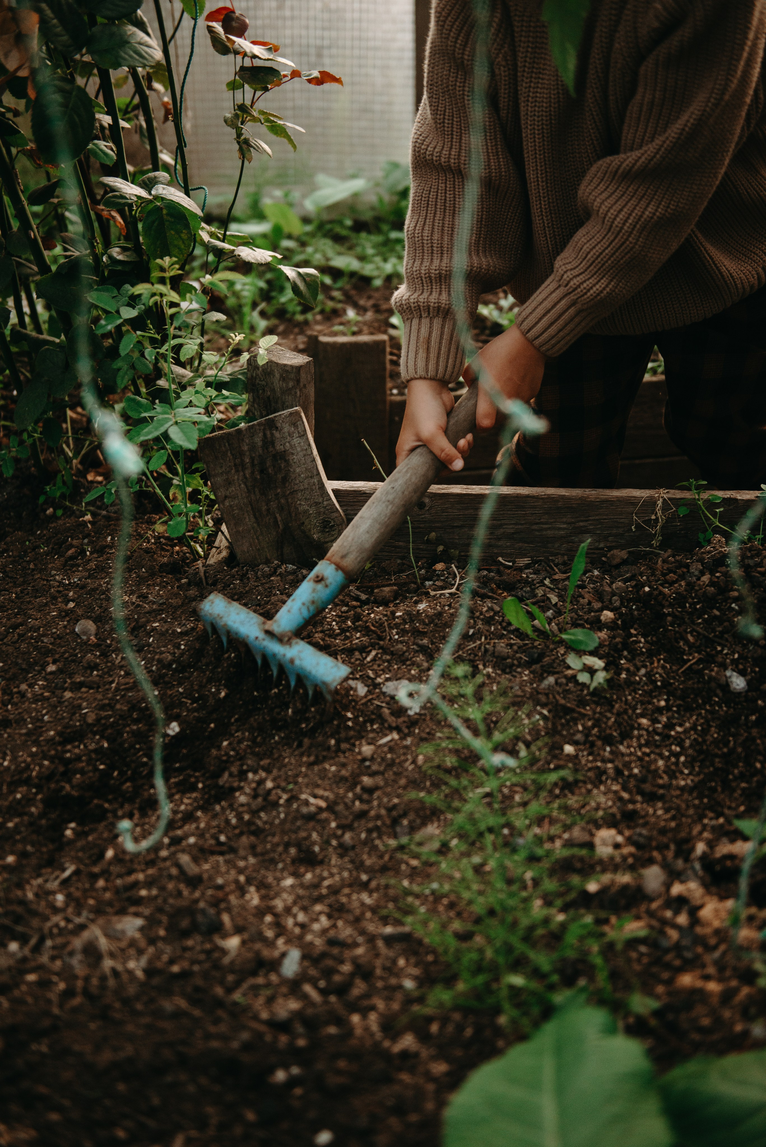 Вика, Рома и Алина. Ирина Метелица фотограф на Шикотане