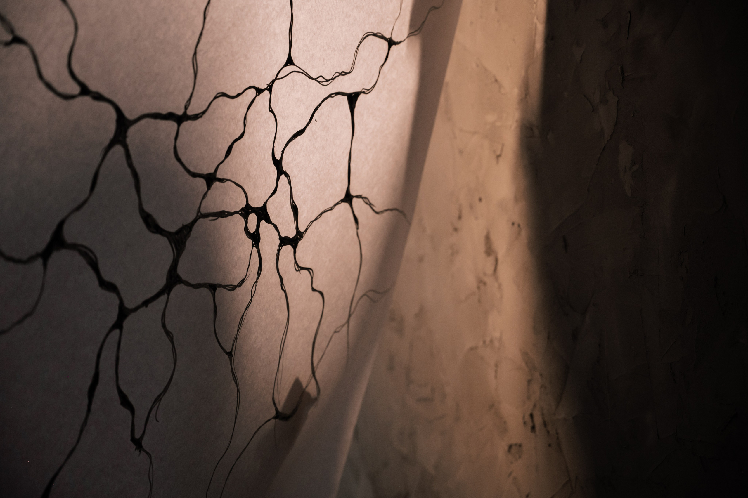 Sabina and Dmitry. Свадебный и семейный фотограф Вероника Холод