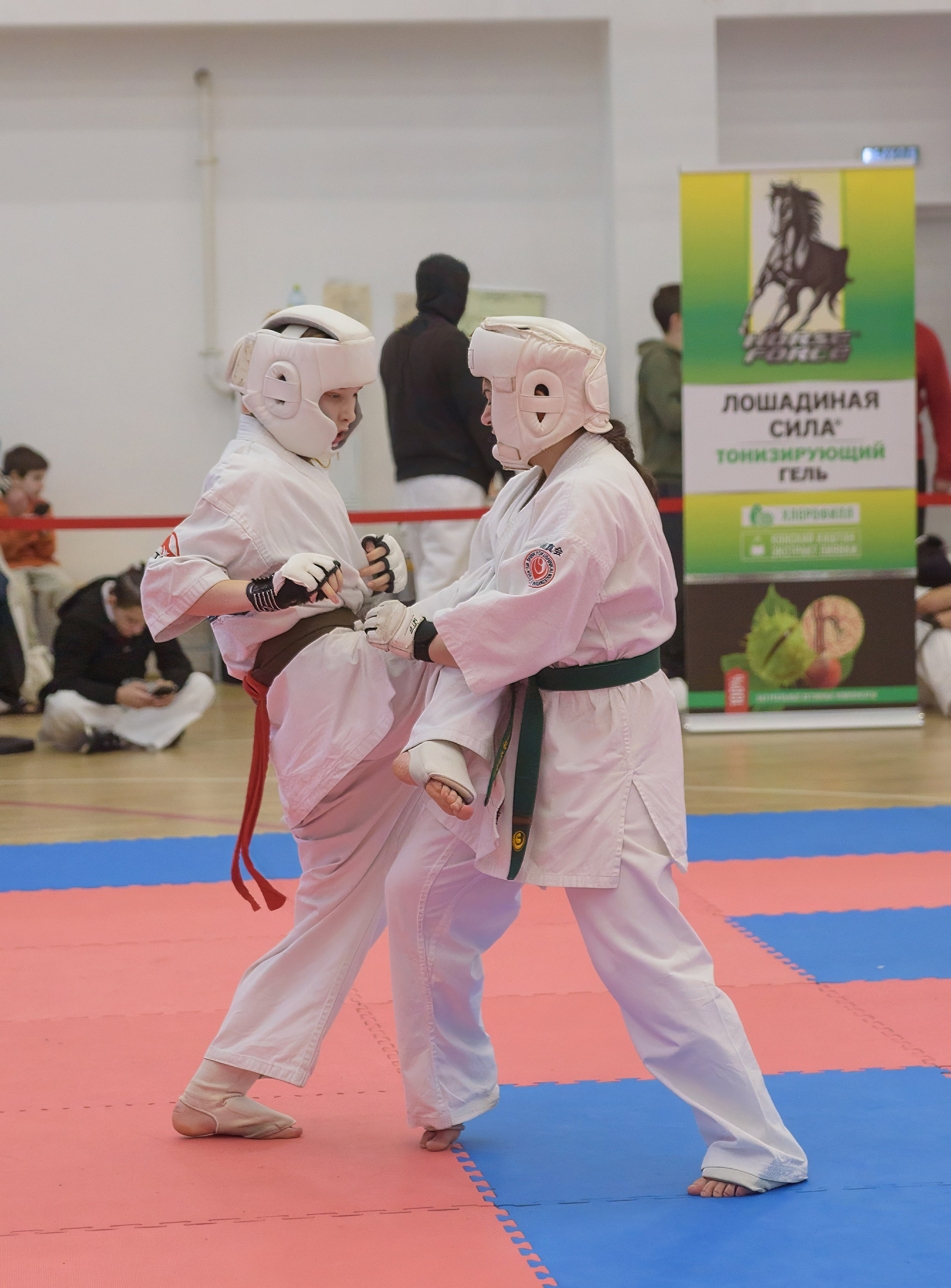 Киокусинкай. Профессиональный спортивный фотограф в Санкт-Петербурге