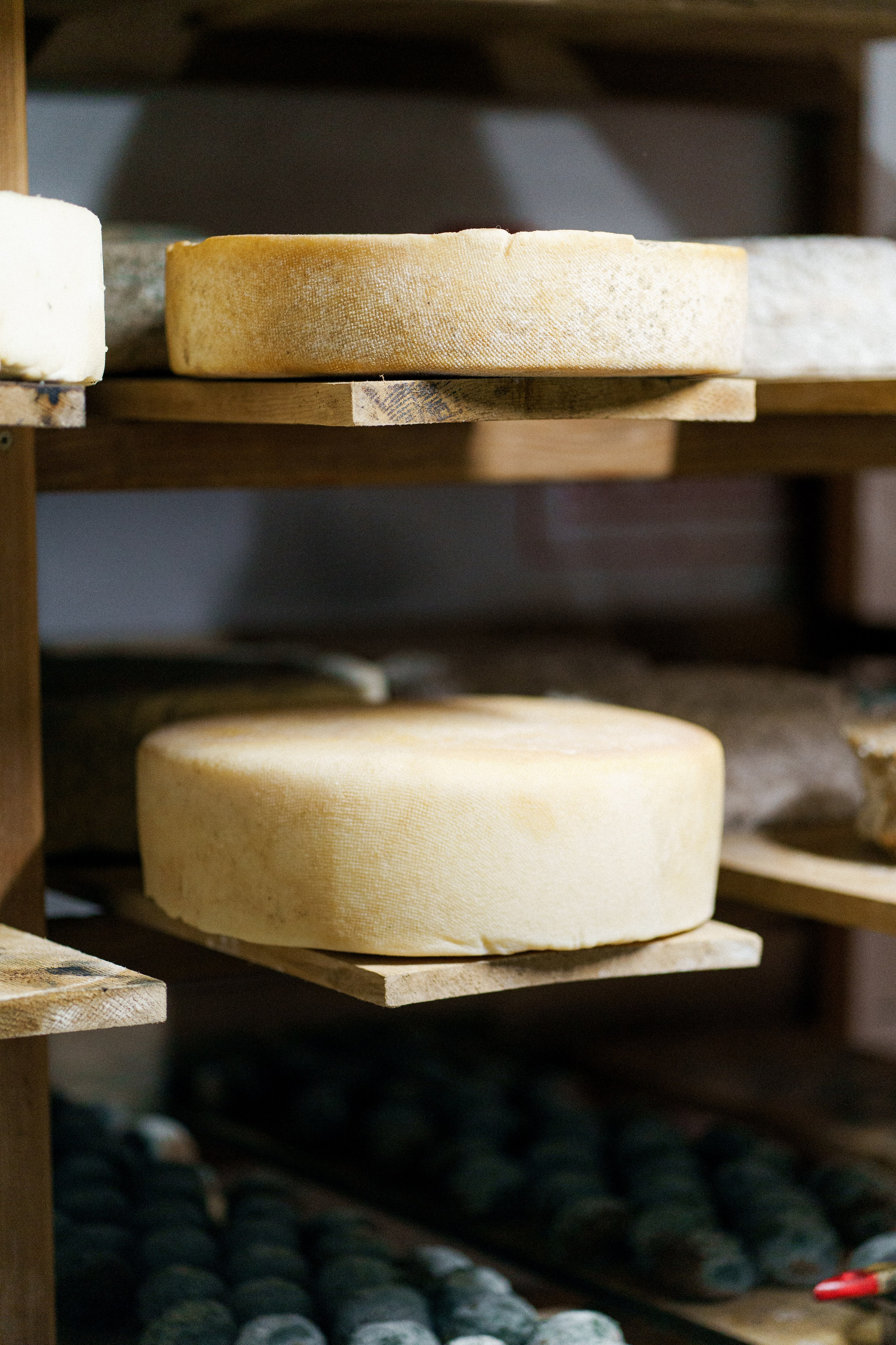 KEN DALA. Aigerimkudaibergen.com