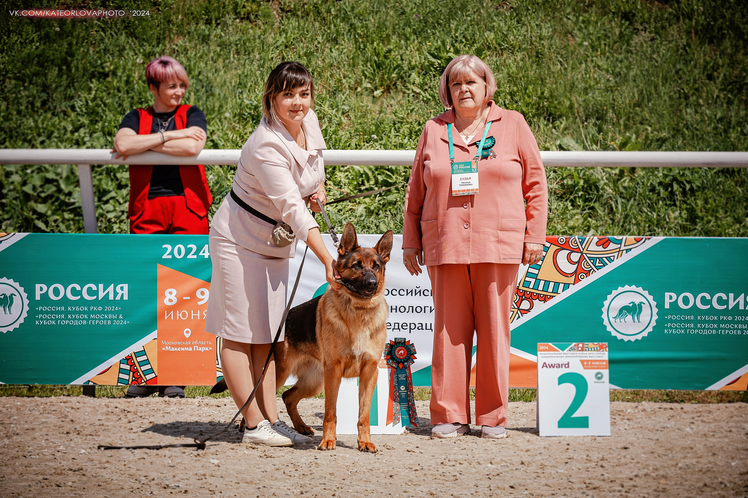 Фотосъемка собак, щенков, на выставках, фотограф анималист Россия воронеж. Питомник собак Акита, Хаски, Корги