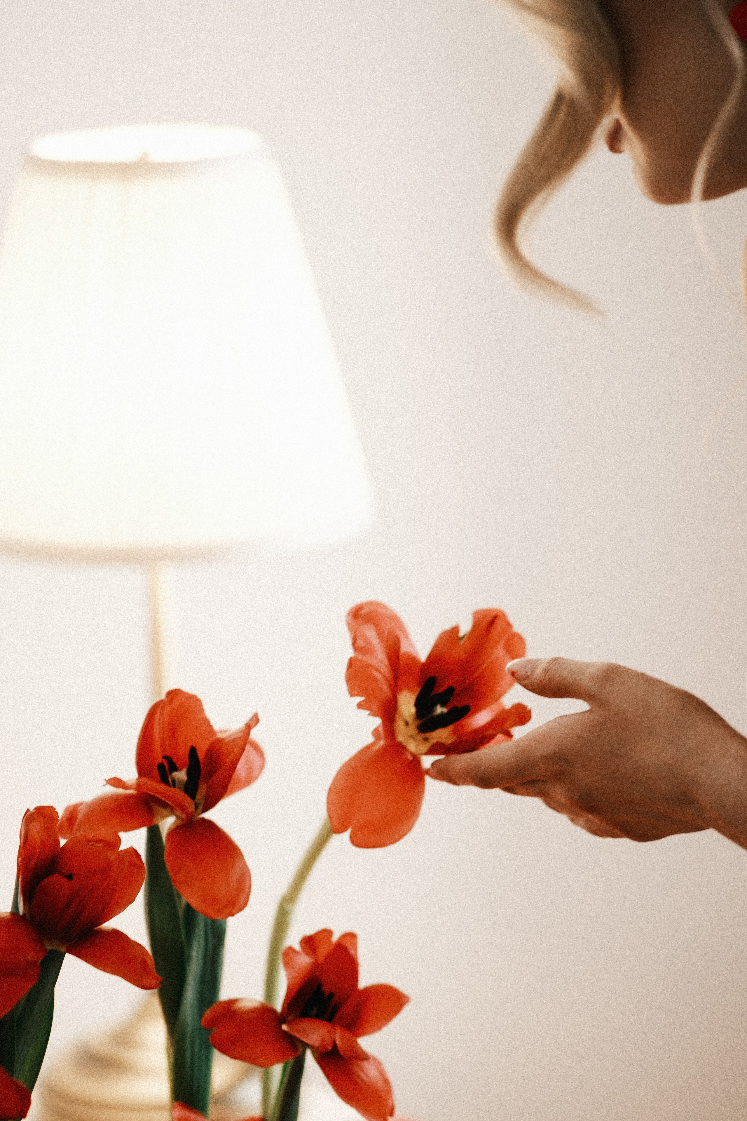 RED. Свадебный и семейный фотограф Барнаул Рубцовск Бийск Алтайский край