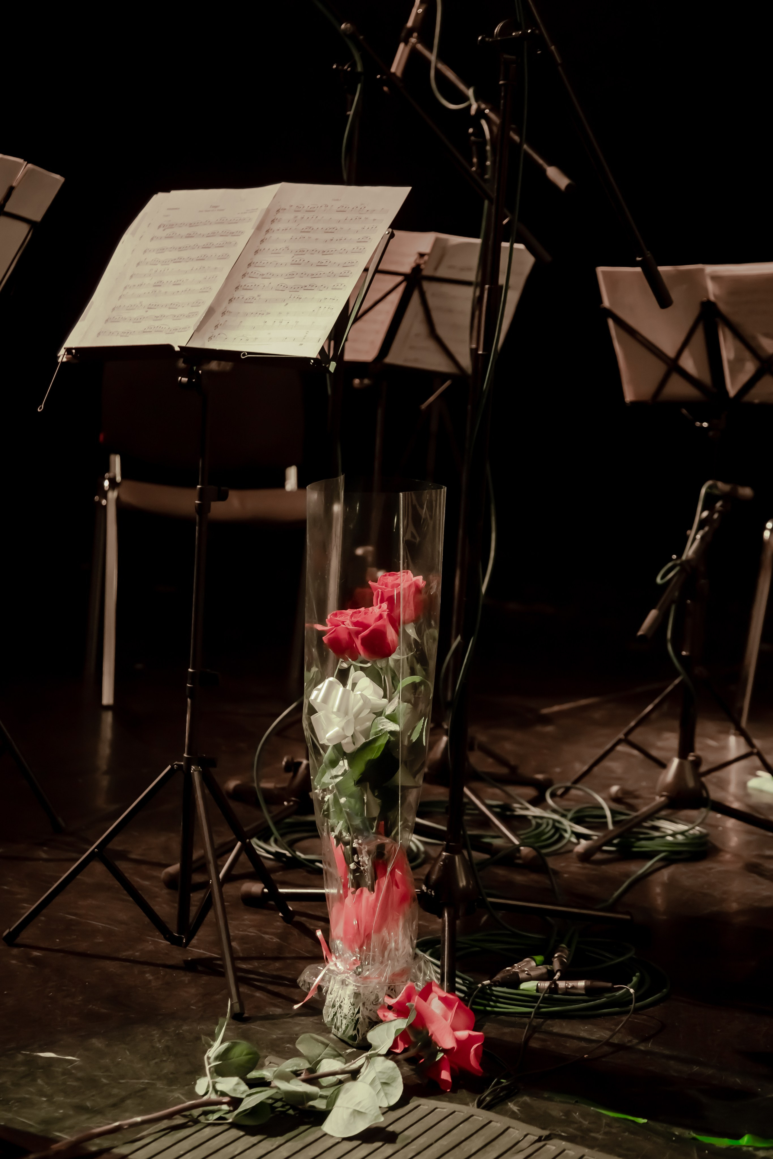 Съемка спектаклей и концертов. Фотограф в Санкт-Петербурге Наталия Денисова