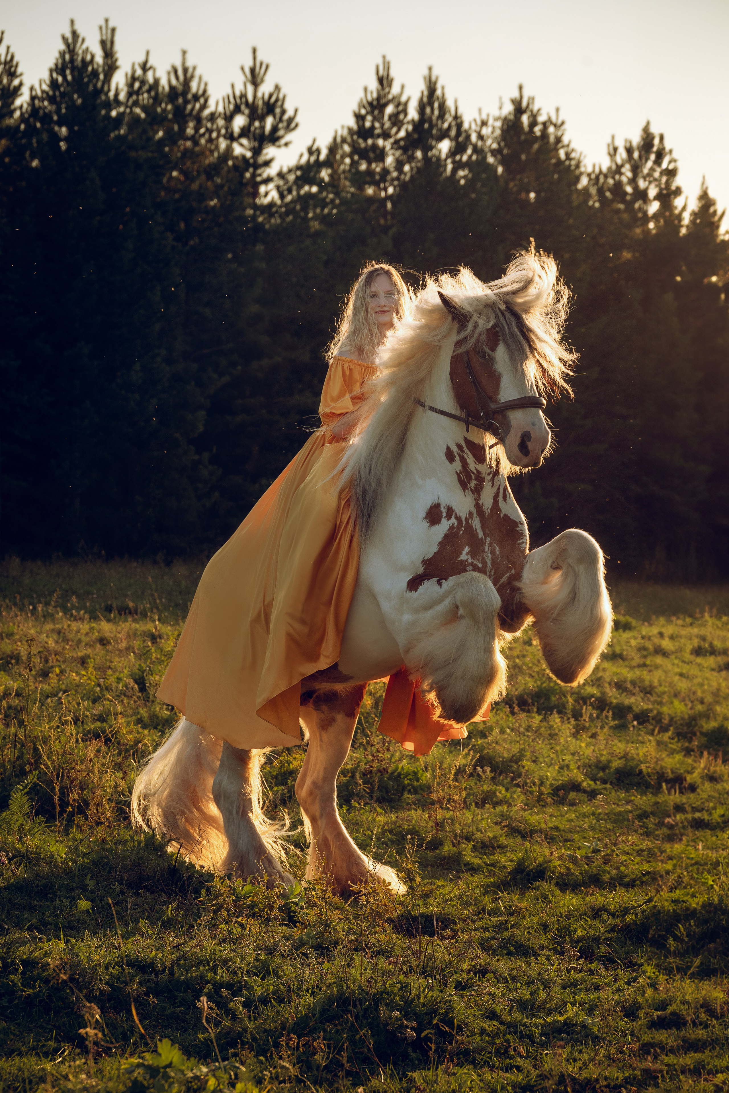 Съемка с лошадью Иркутск Иркутская область. Сайт фотографа Елены Коноваловой Иркутск