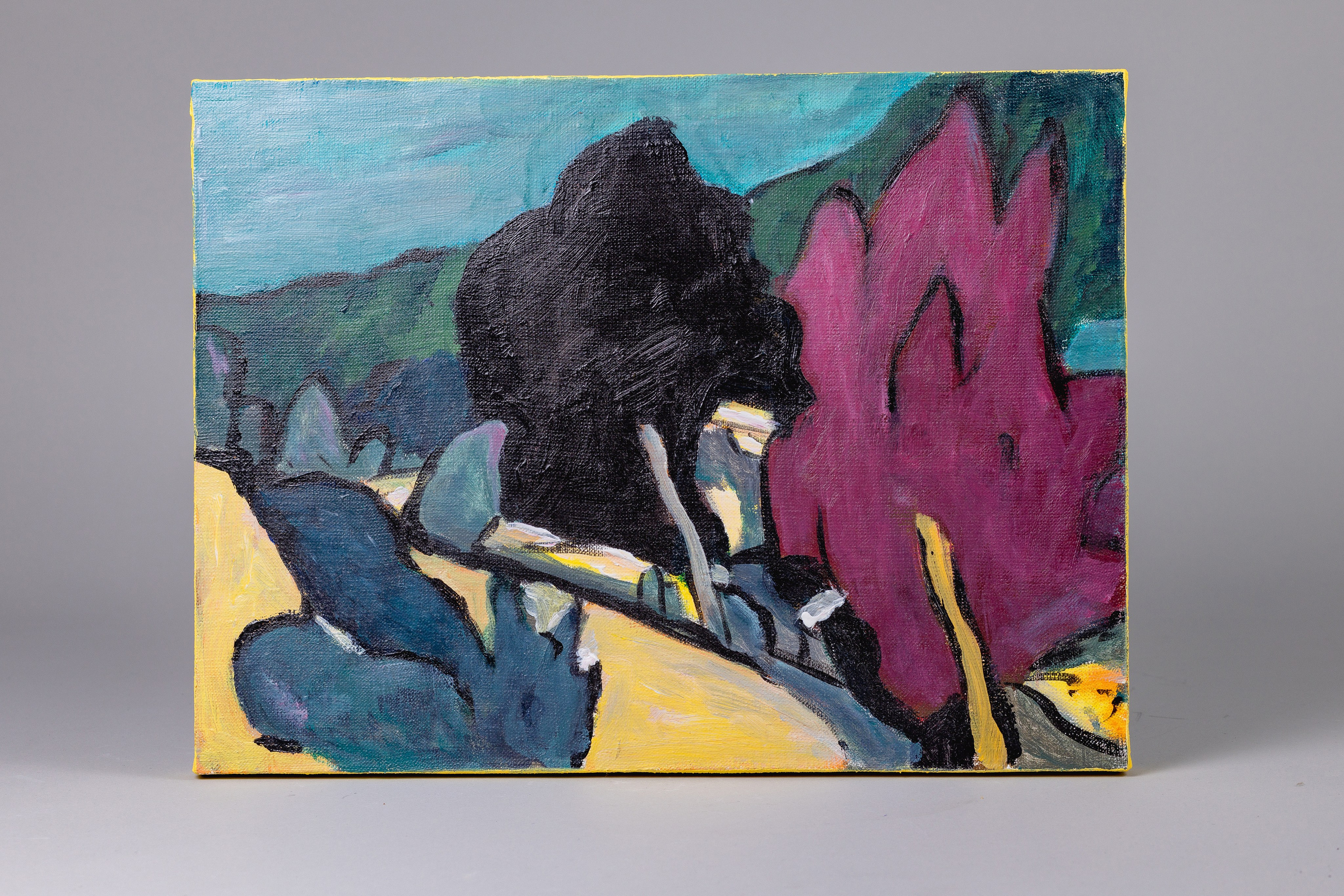 Съемка картин. Фотограф и режиссер Московко Екатерина