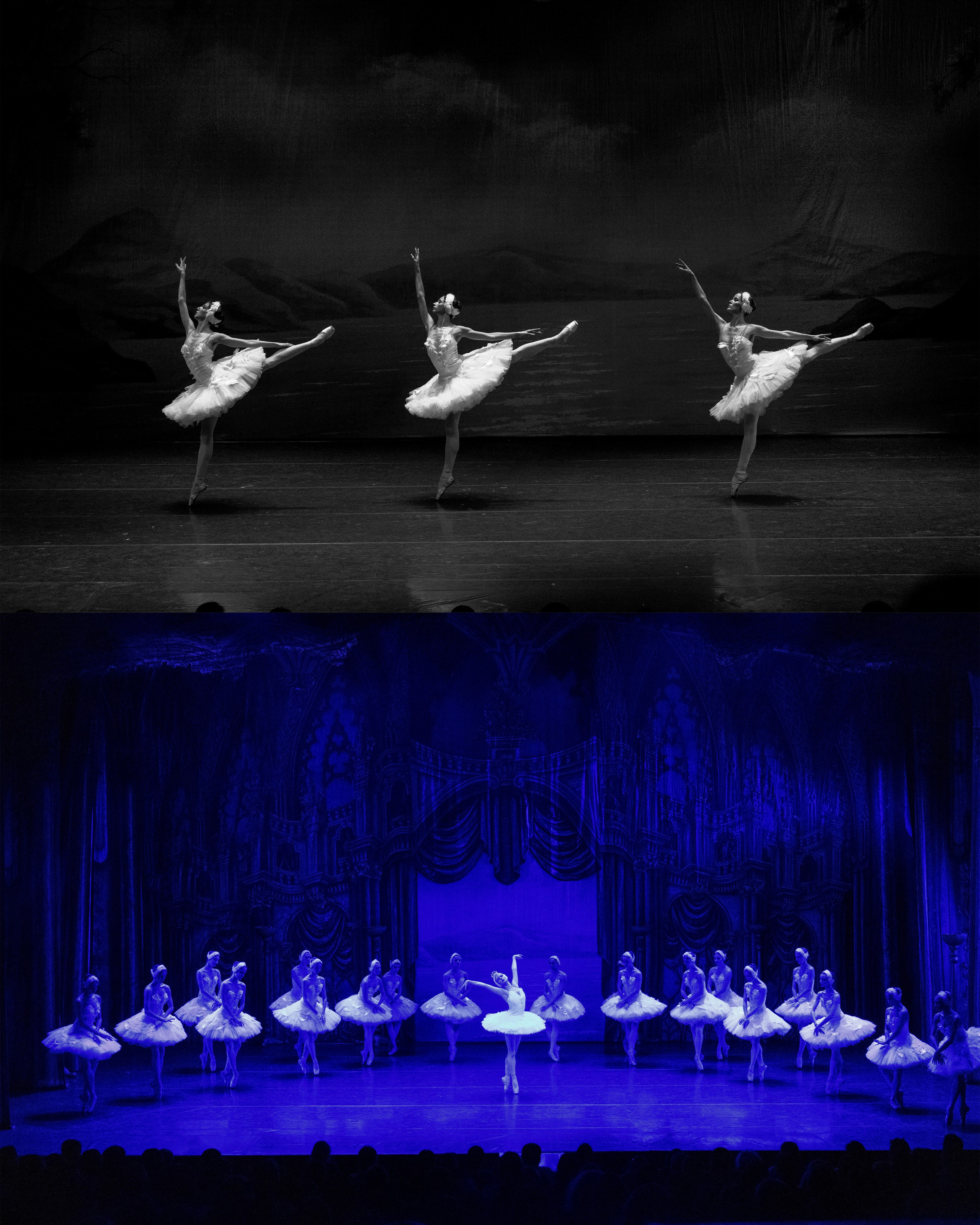 «Лебединое Озеро», Москонцерт Холл. Индивидуальный фотограф в Москве