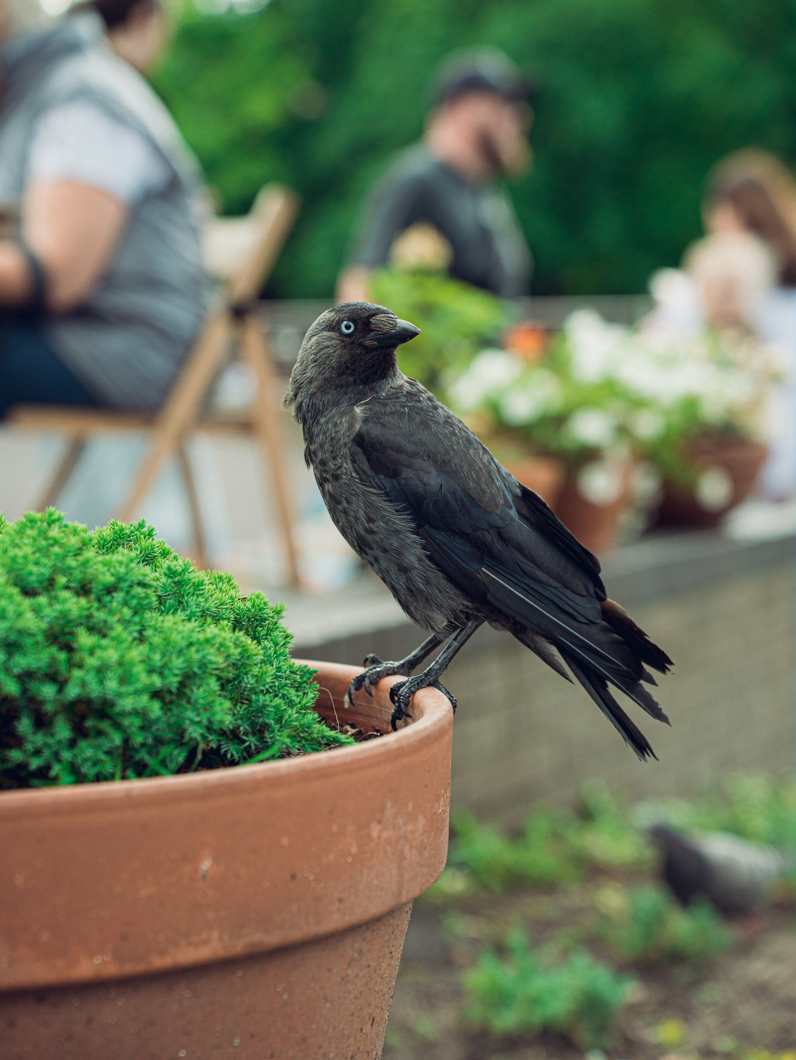 Калининградский трип друзей. Фотограф Мирослава Ряполова, Москва