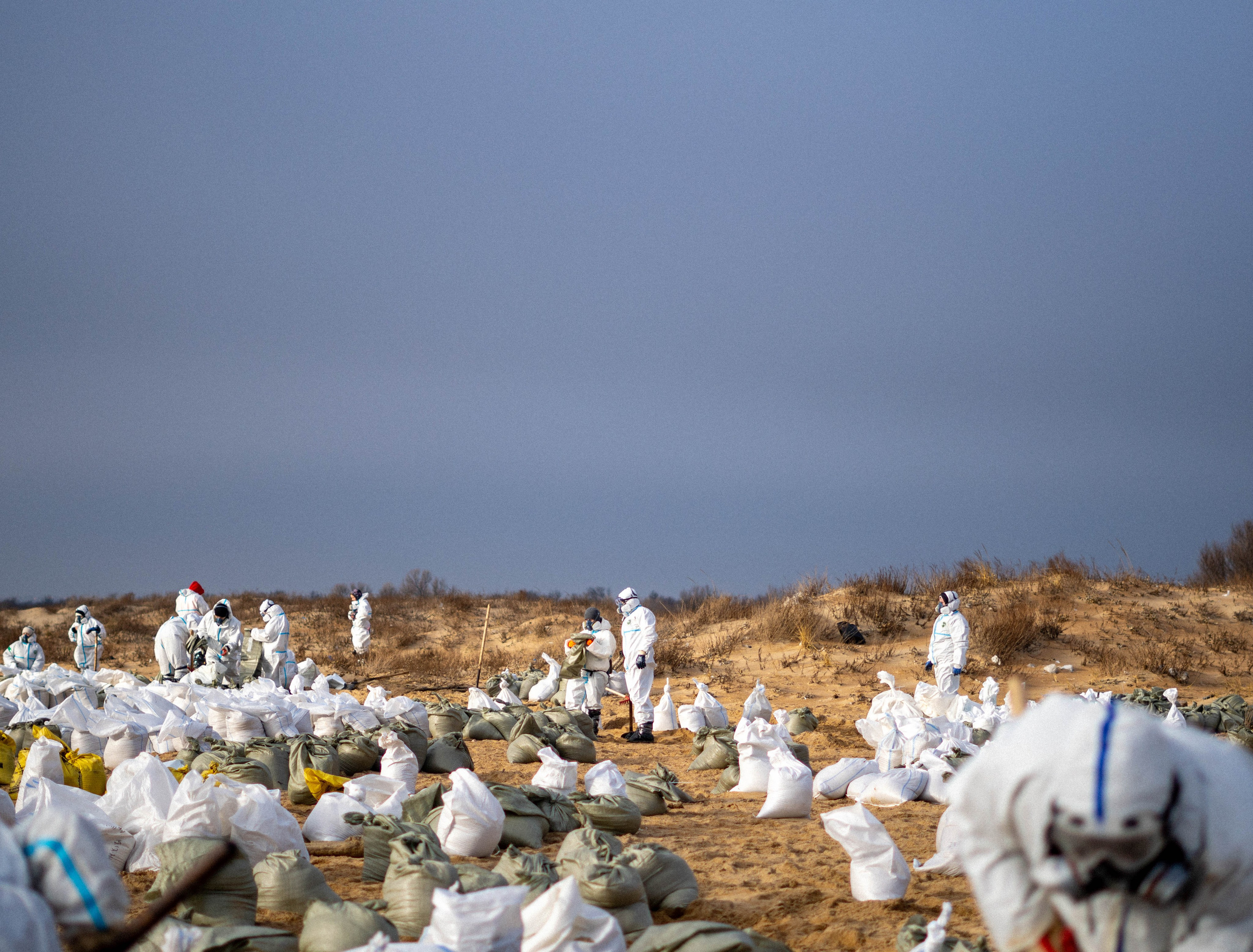 Разлив мазута в Керченском проливе. Фотограф Тбилиси / Photographer Tbilisi