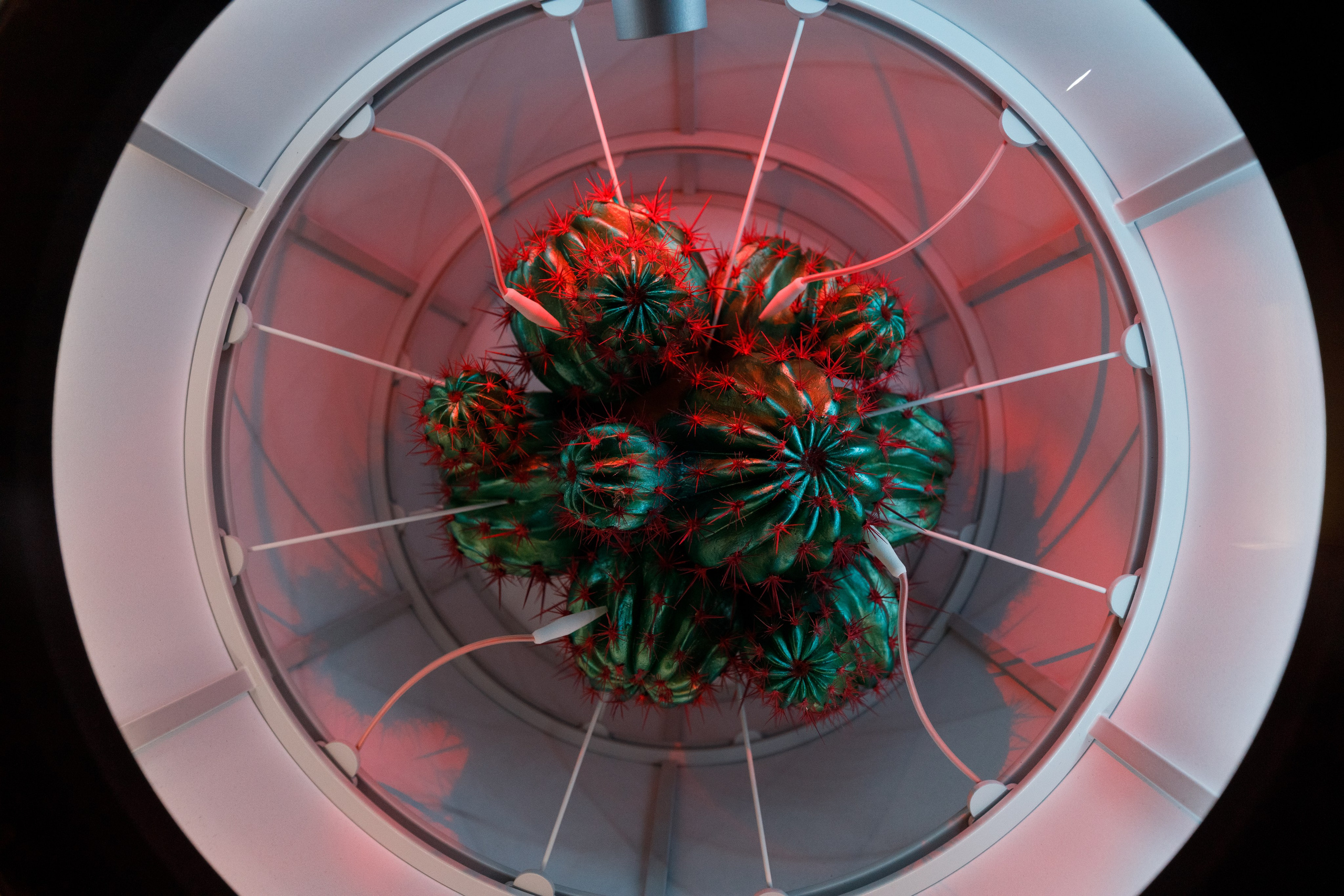 Дубай 2023. Руслан Плахтеев