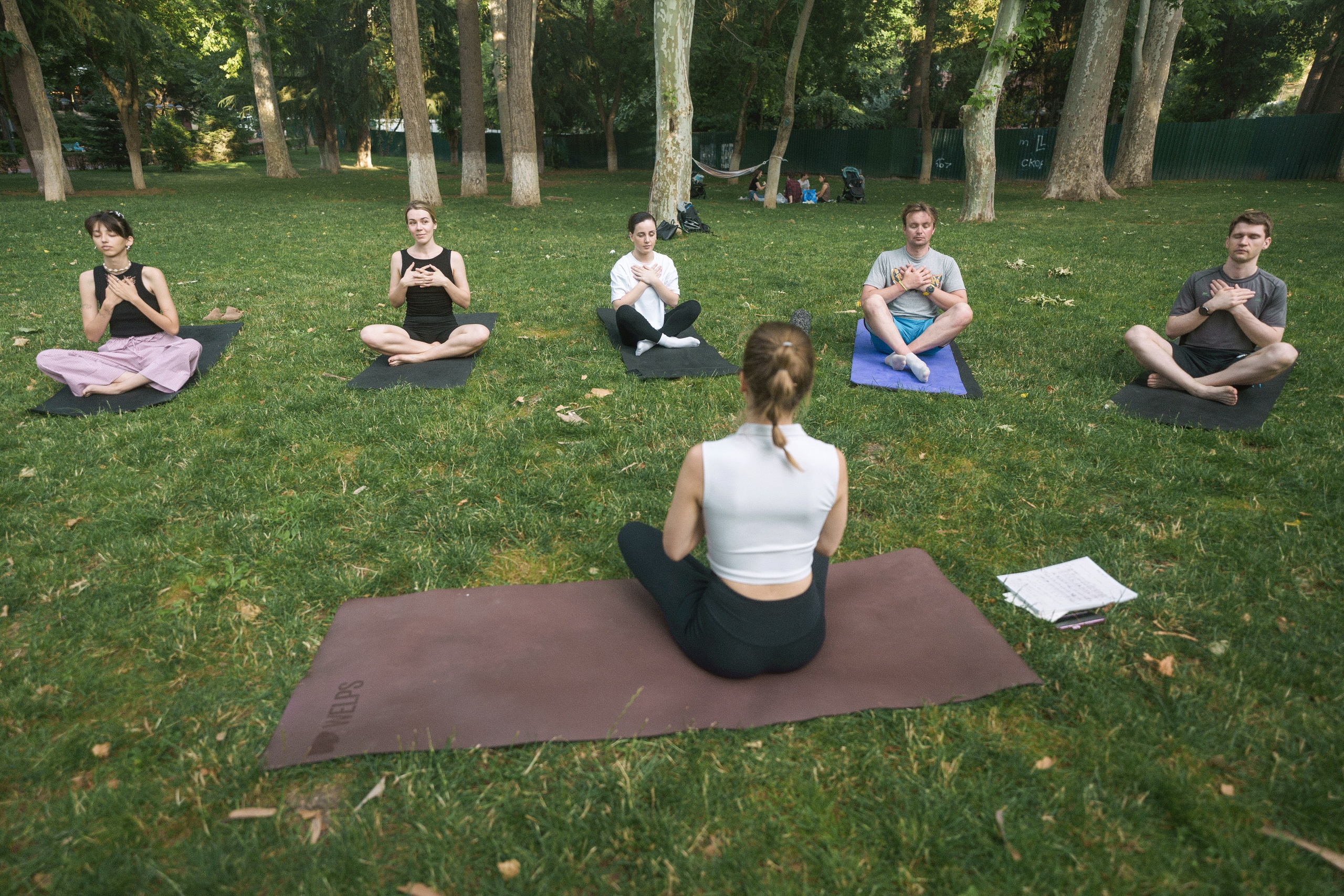 Йога в парке, Тбилиси. Андрей Фадеев фото видео Тбилиси